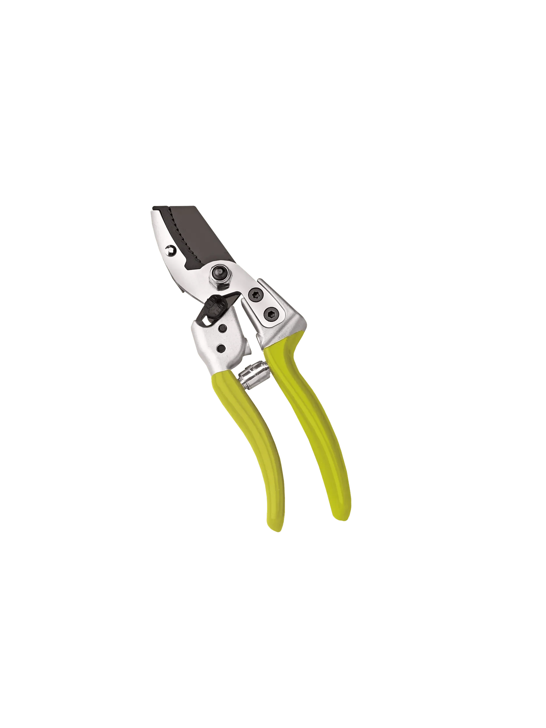 Anvil Pruners