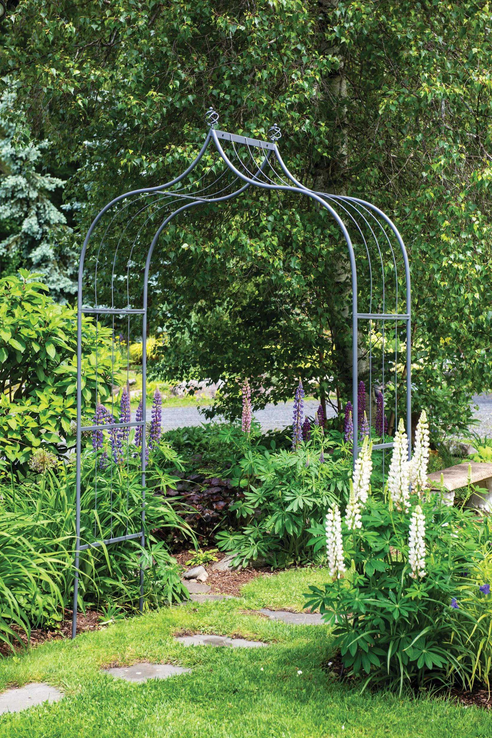 371-ariana-arch-1.jpg Ariana Arch
