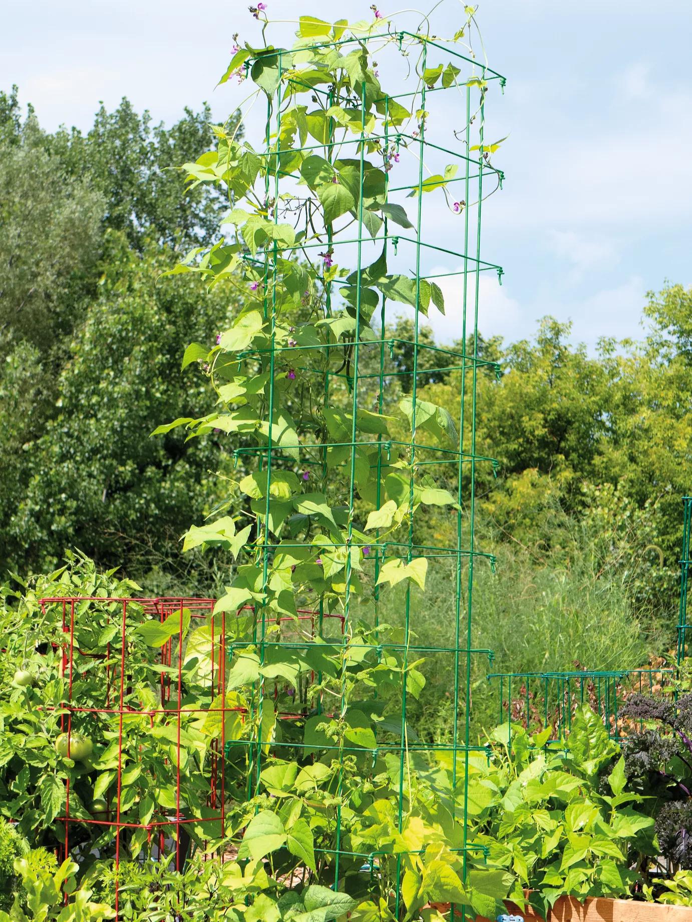 383-bean-tower-1.jpg Bean Tower