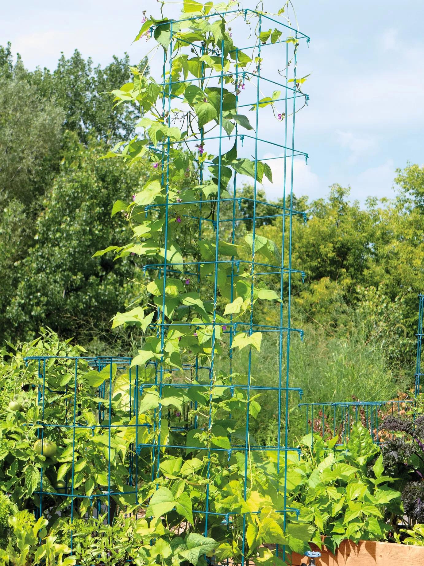 Bean Tower