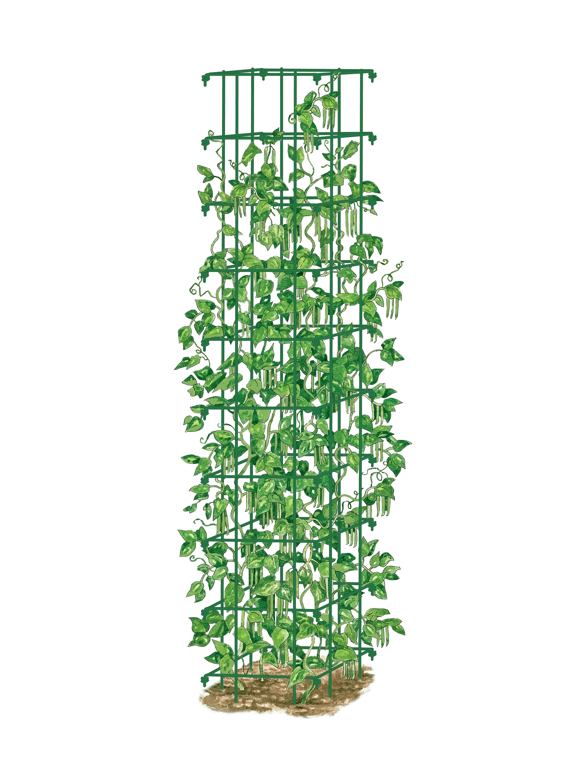 Bean Tower