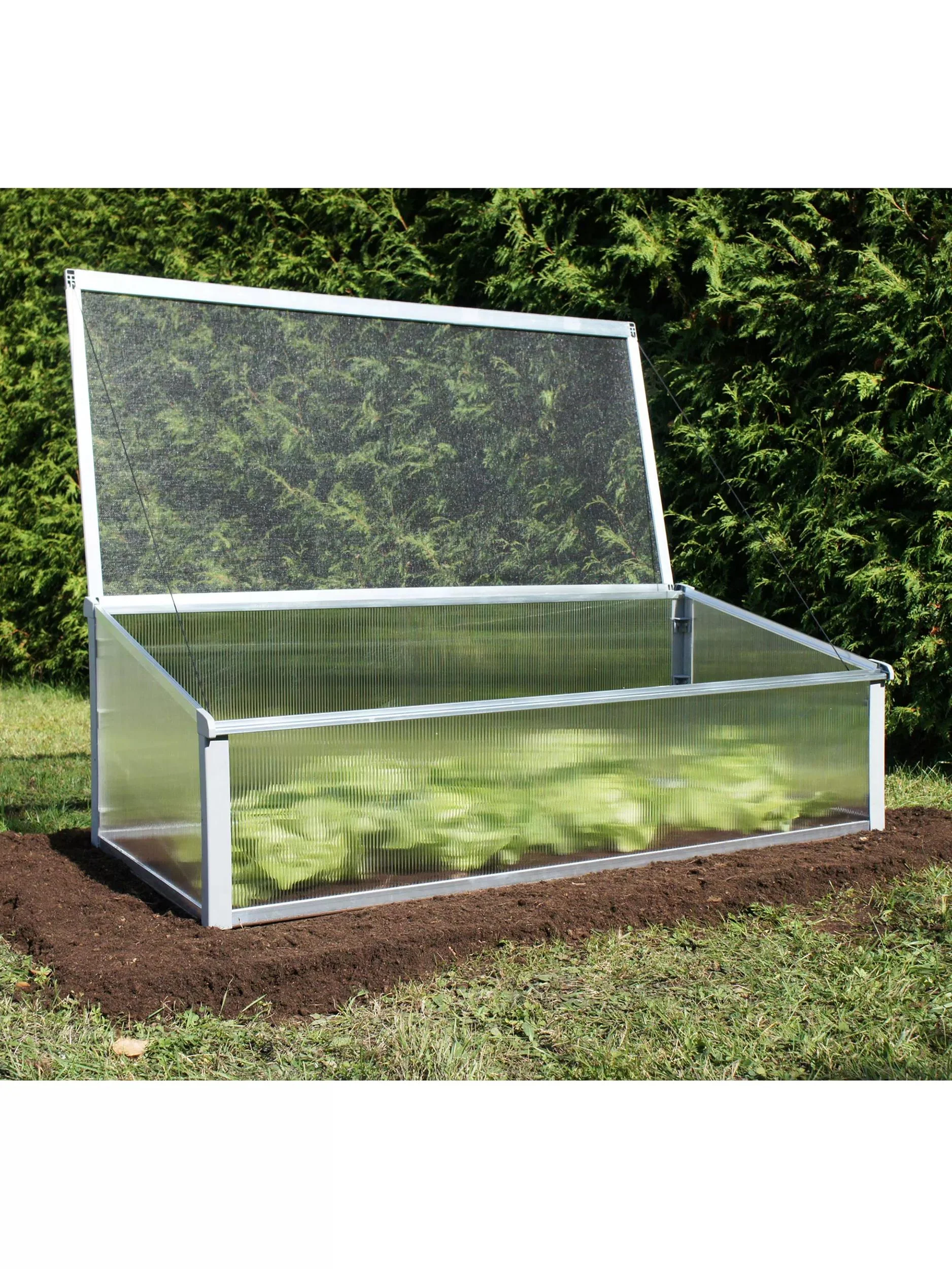 387-bioprotect-year-round-cold-frame-1.webp Bioprotect Year-Round Cold Frame