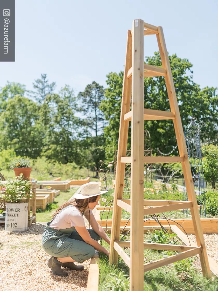 Cedar Obelisk, 8'