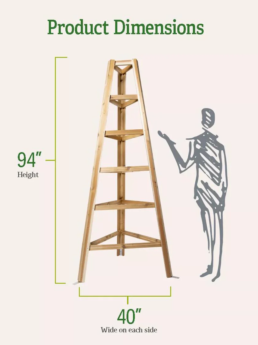 433-cedar-obelisk-8-2.webp Cedar Obelisk, 8'