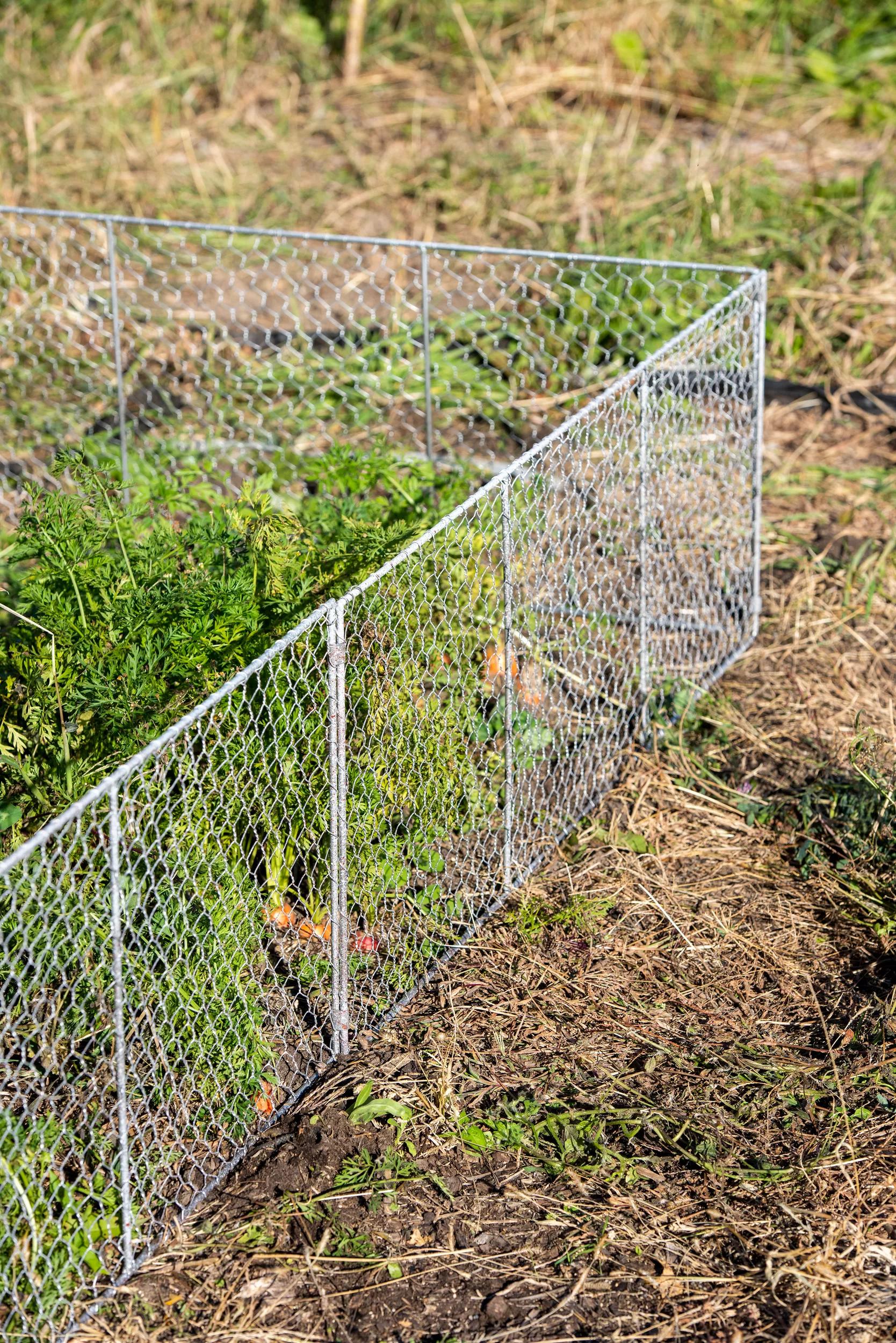 455-chicken-wire-critter-fence-16-high-1.jpg Chicken Wire Critter Fence, 16" High