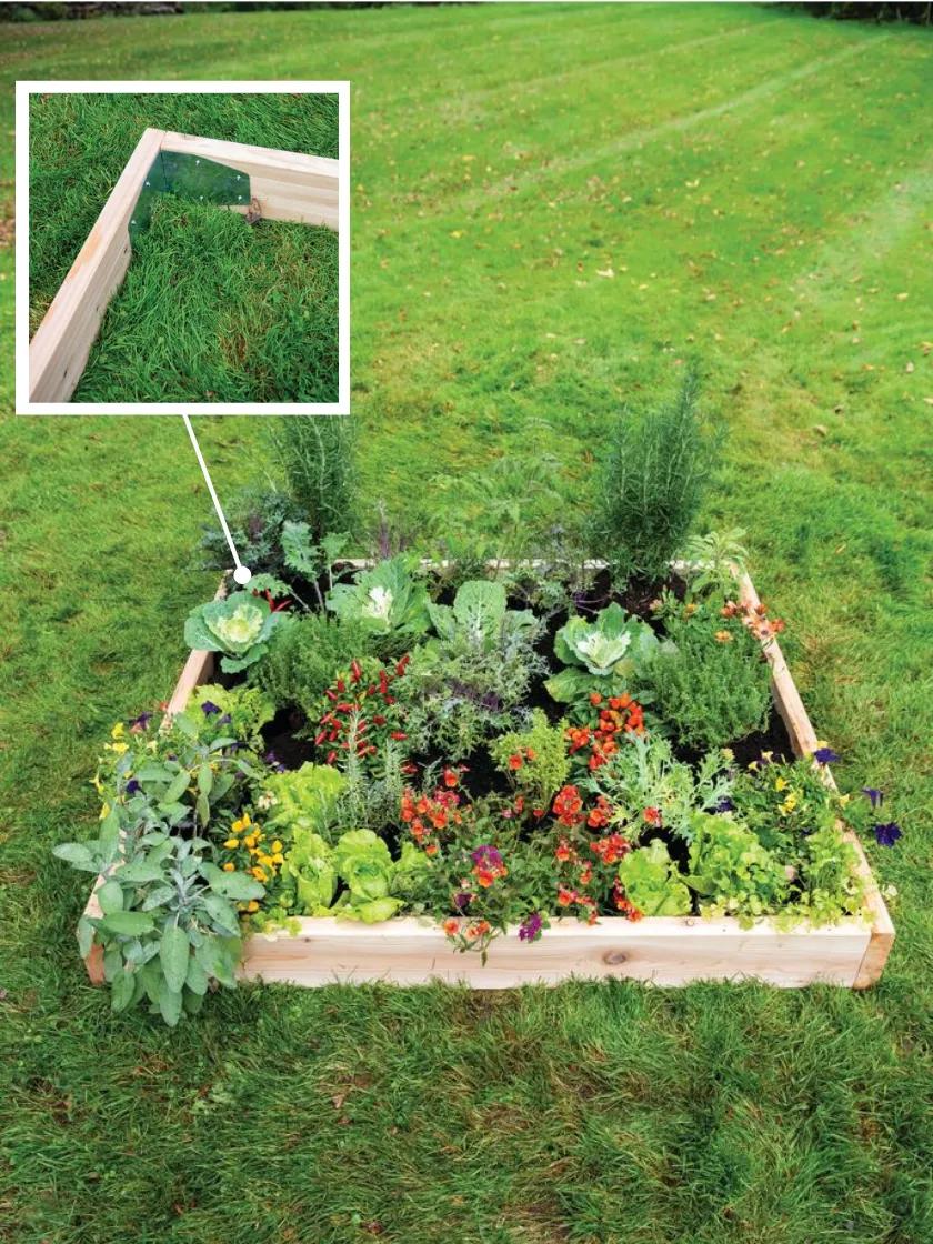 46-gardener-s-adjustable-raised-bed-corners-set-of-4-4.jpg Gardener's Adjustable Raised Bed Corners, Set of 4