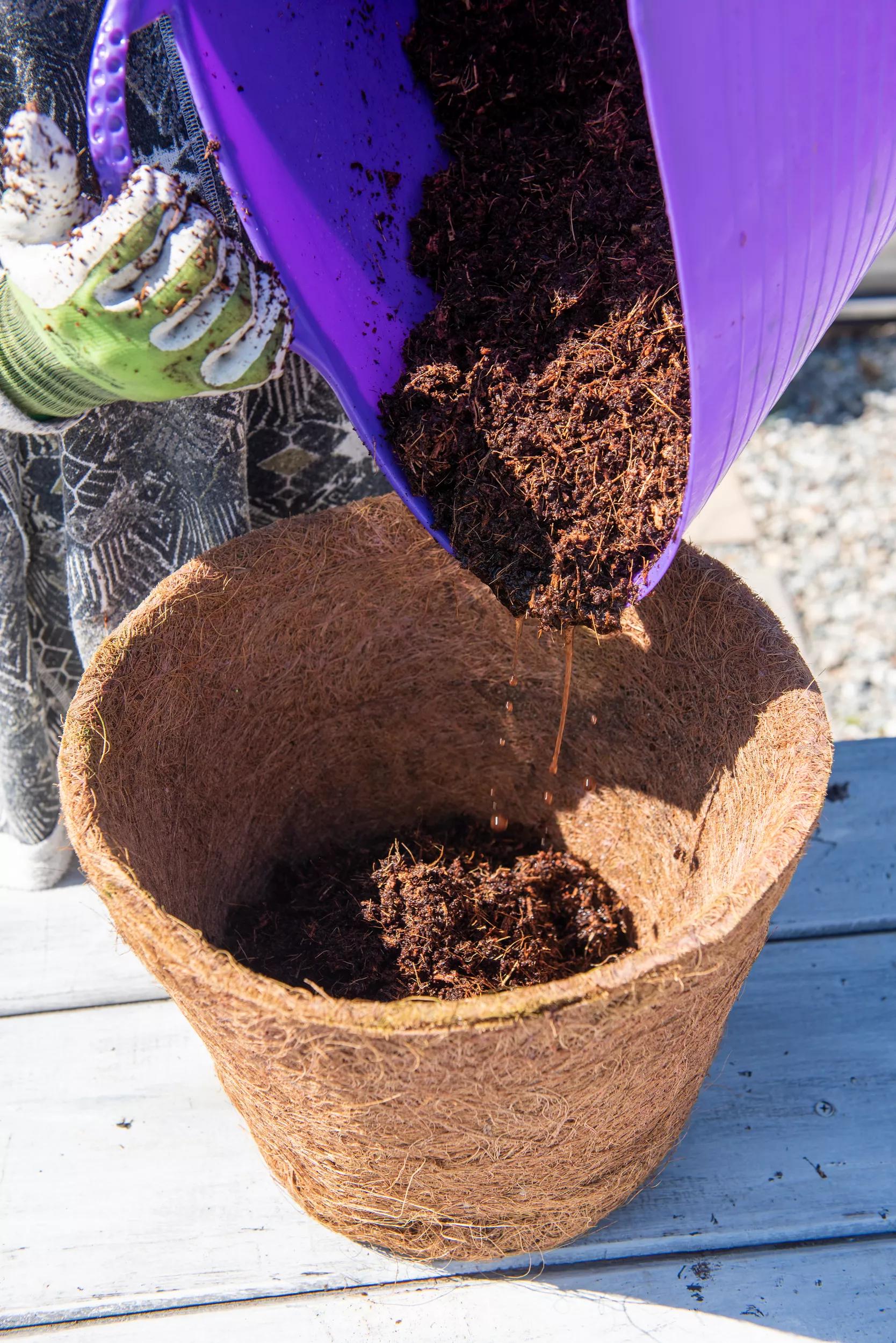 Coco Coir Potting Mix