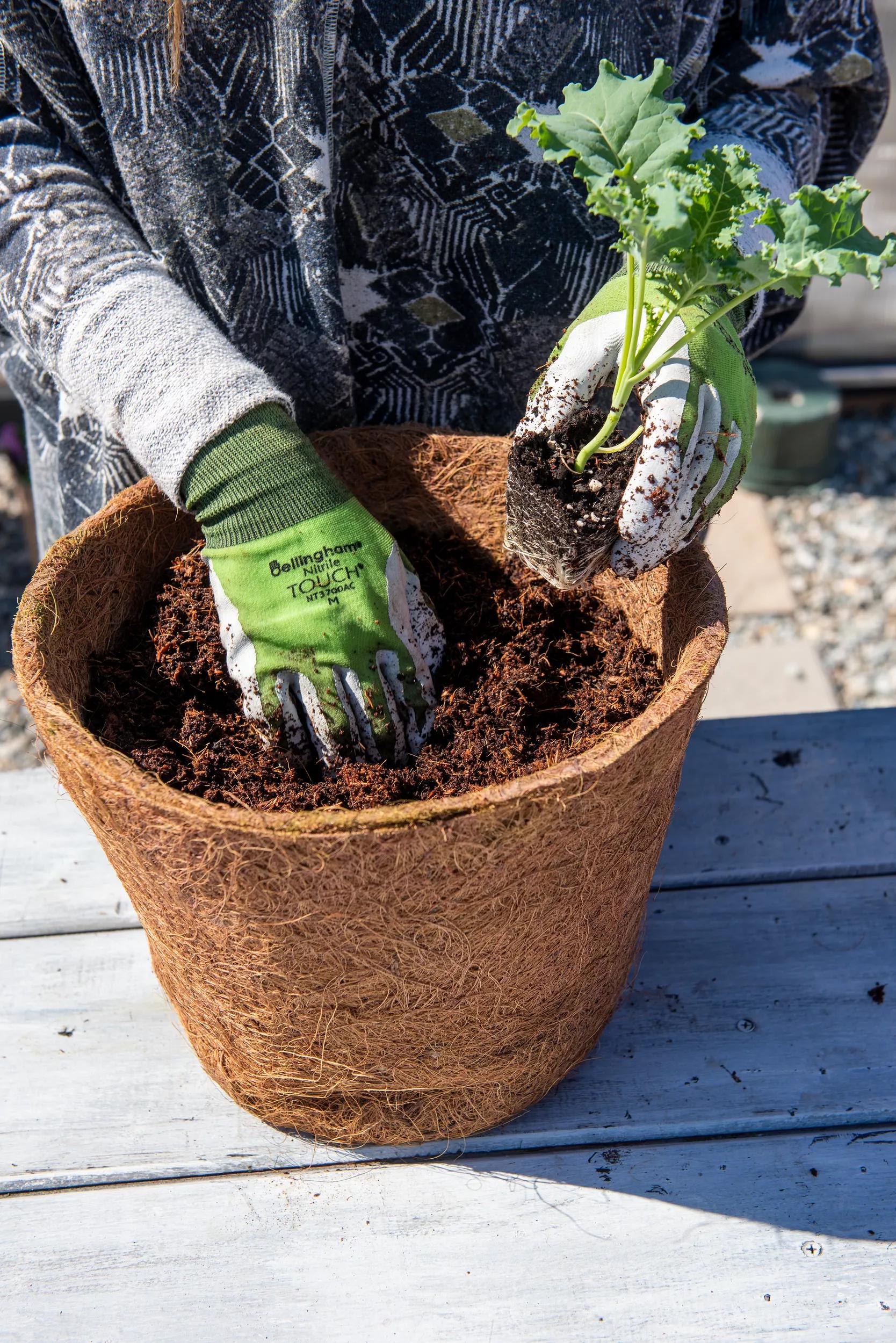 Coco Coir Potting Mix