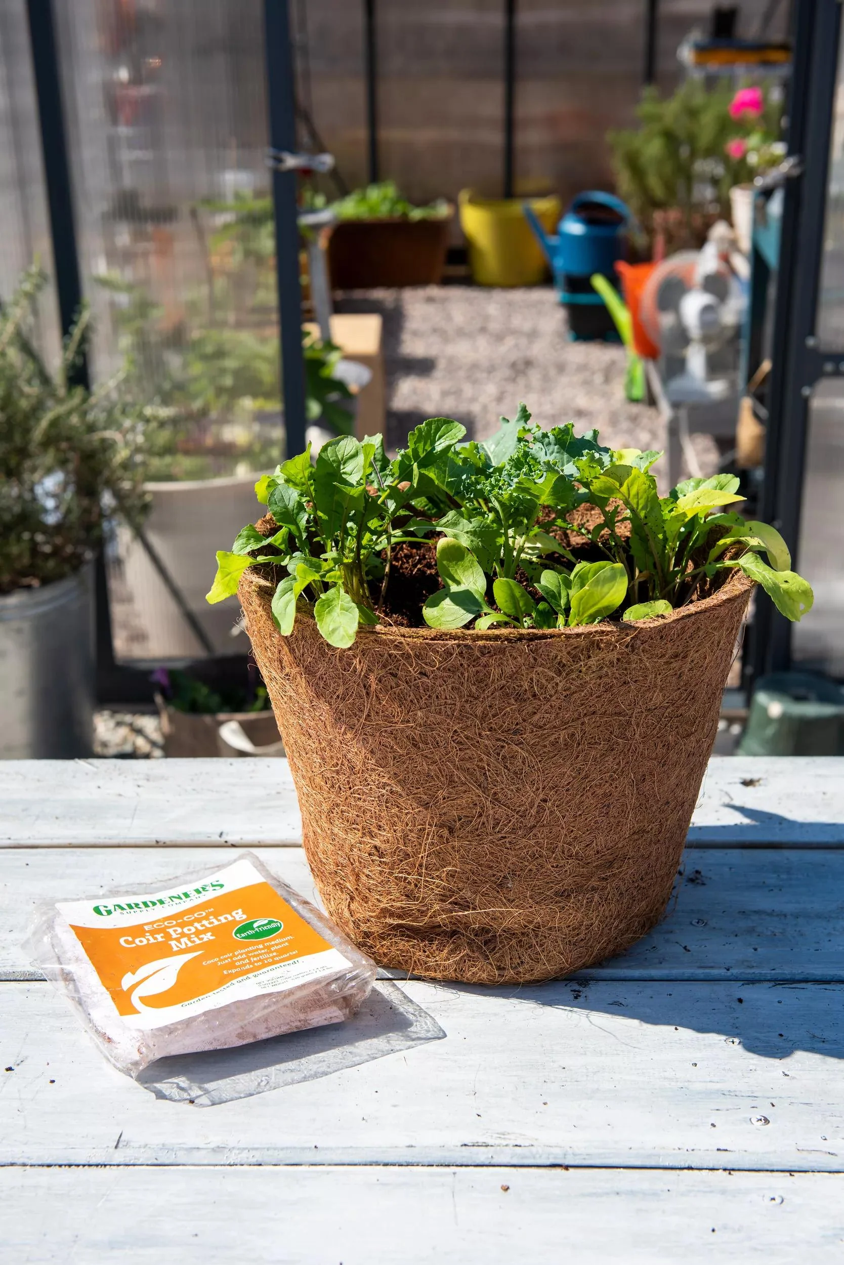 Coco Coir Potting Mix