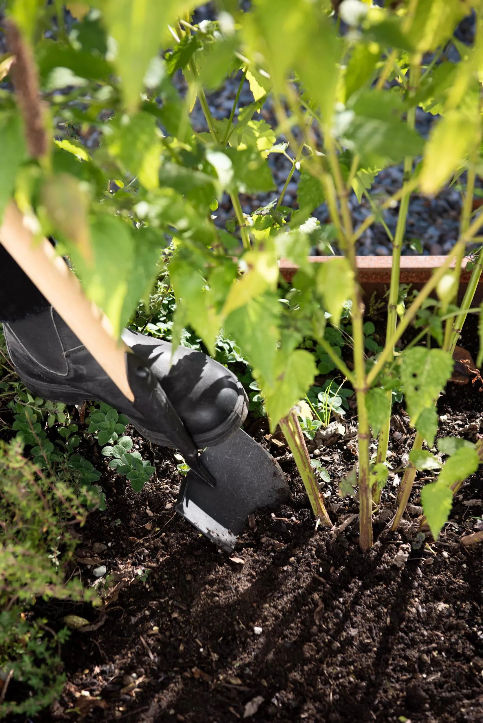 48-gardener-s-lifetime-little-shovel-5.webp Gardener's Lifetime Little Shovel