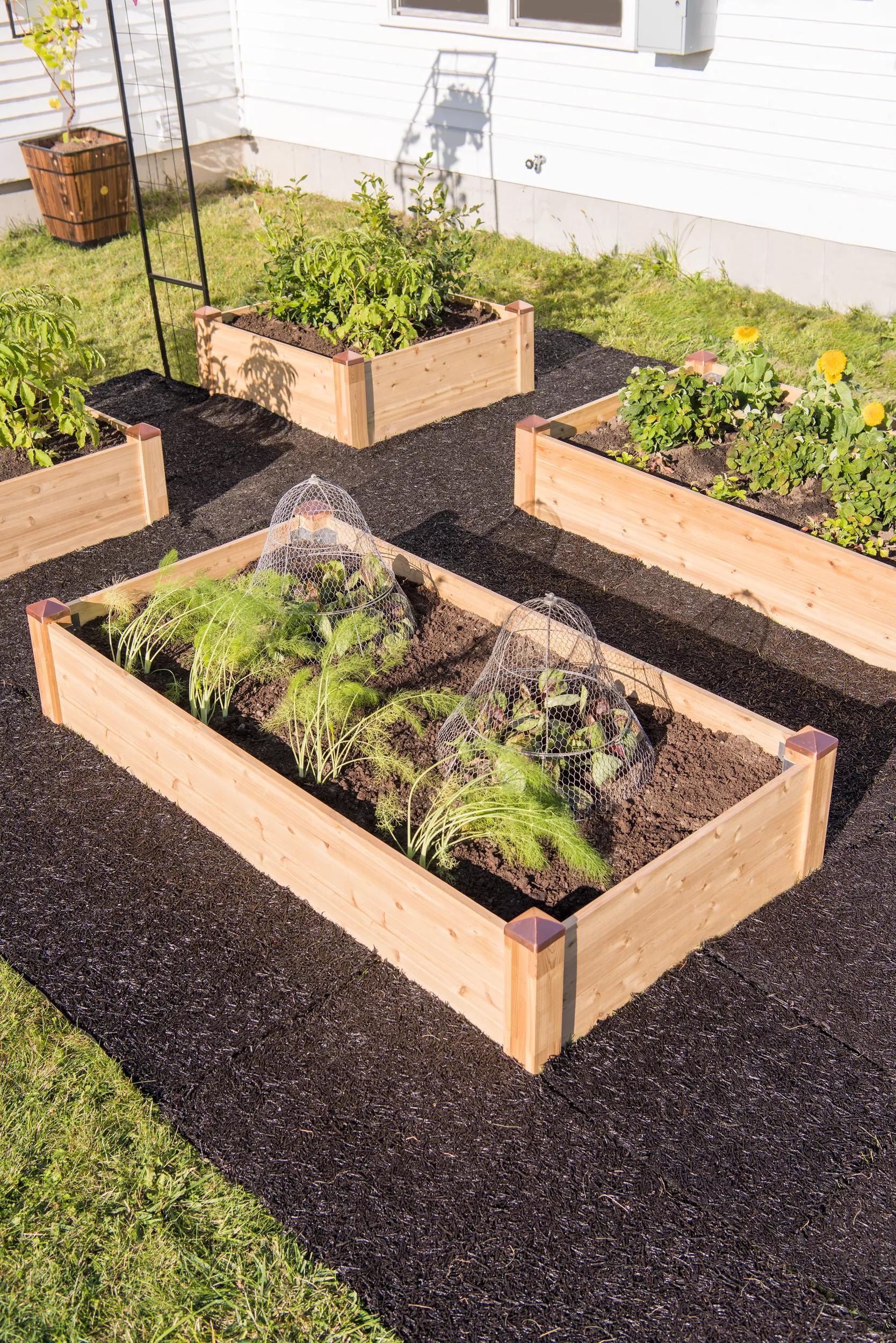Copper Cap Raised Beds (14" D)