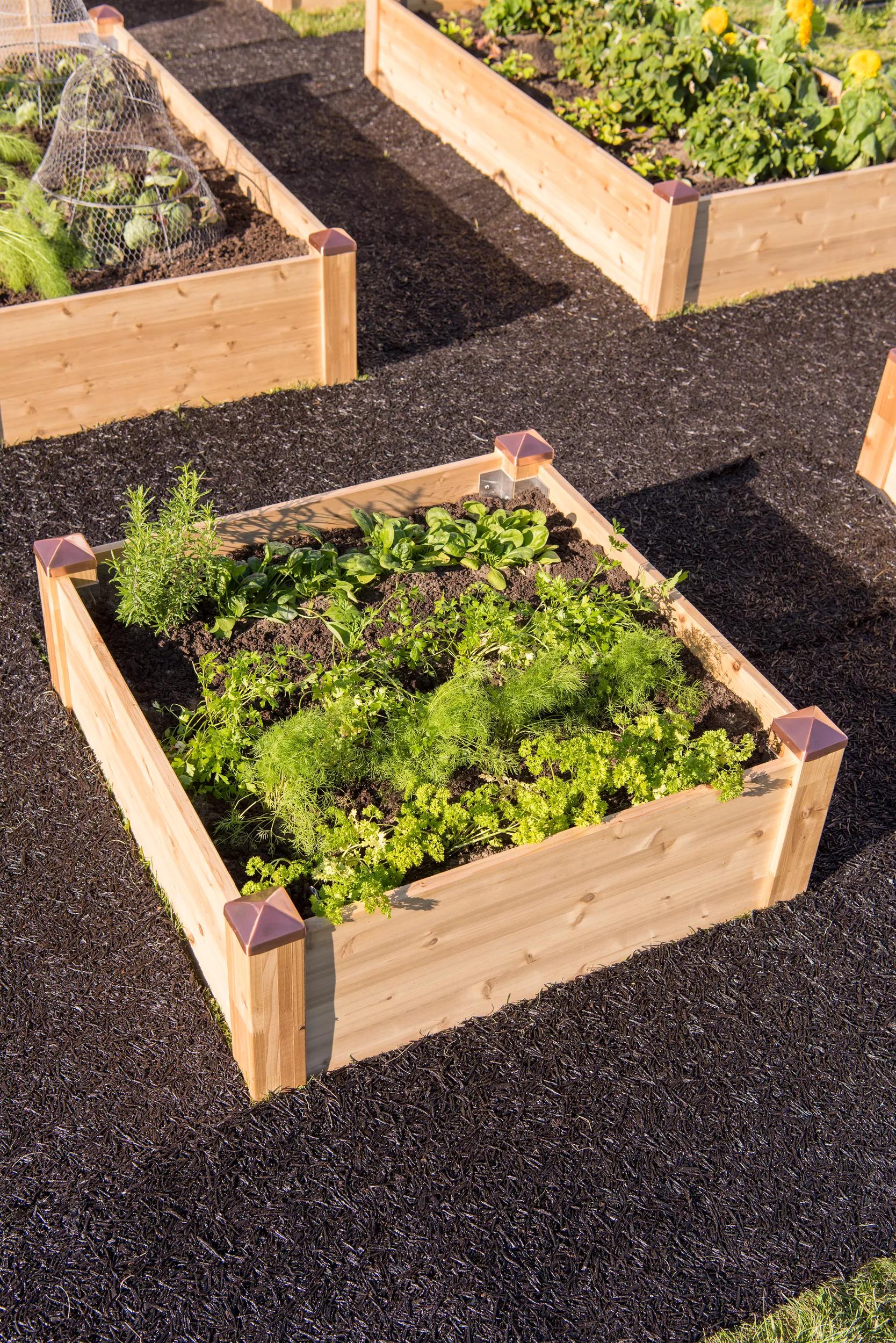Copper Cap Raised Beds (14" D)