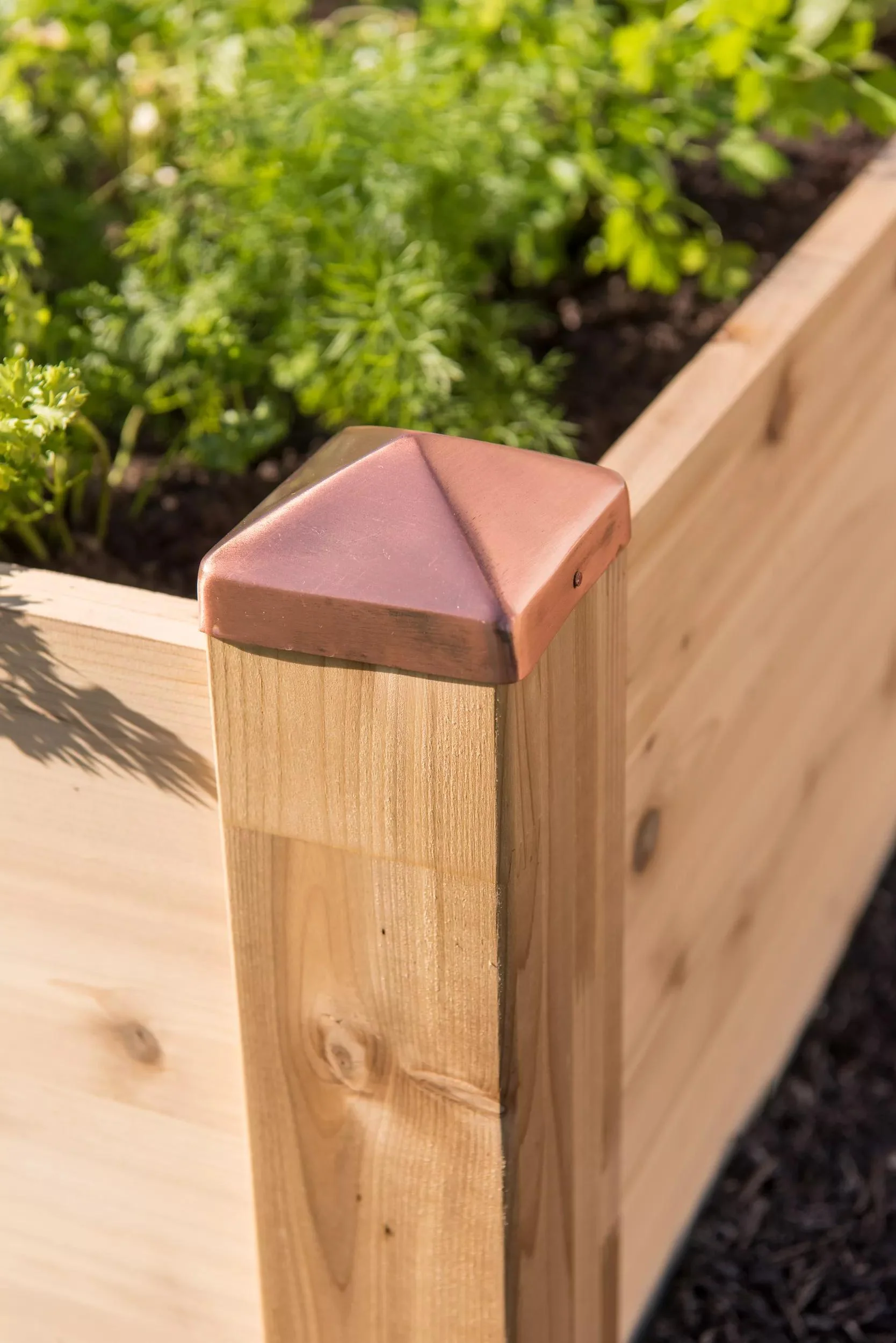 Copper Cap Raised Beds (14" D)