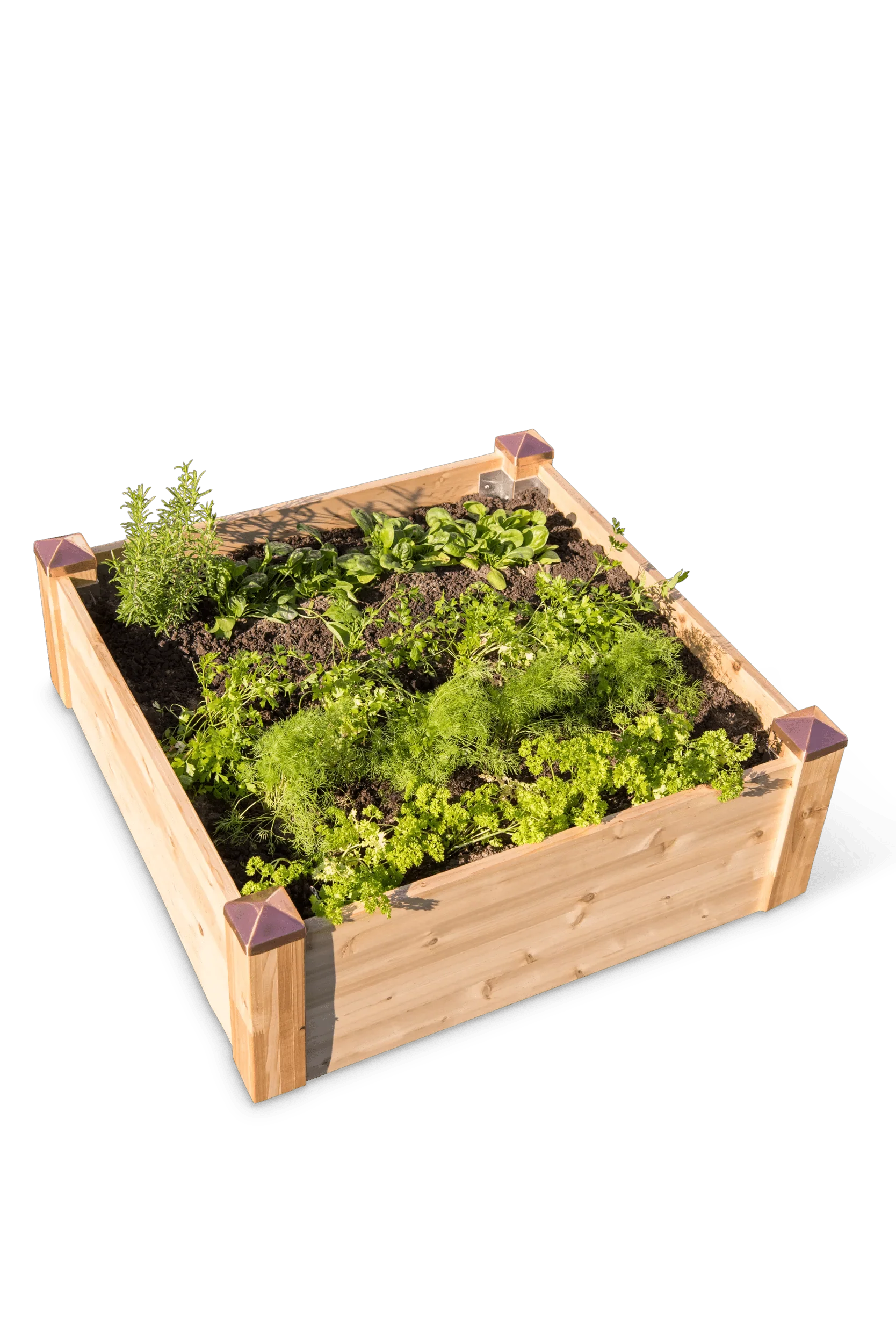 Copper Cap Raised Beds (14" D)