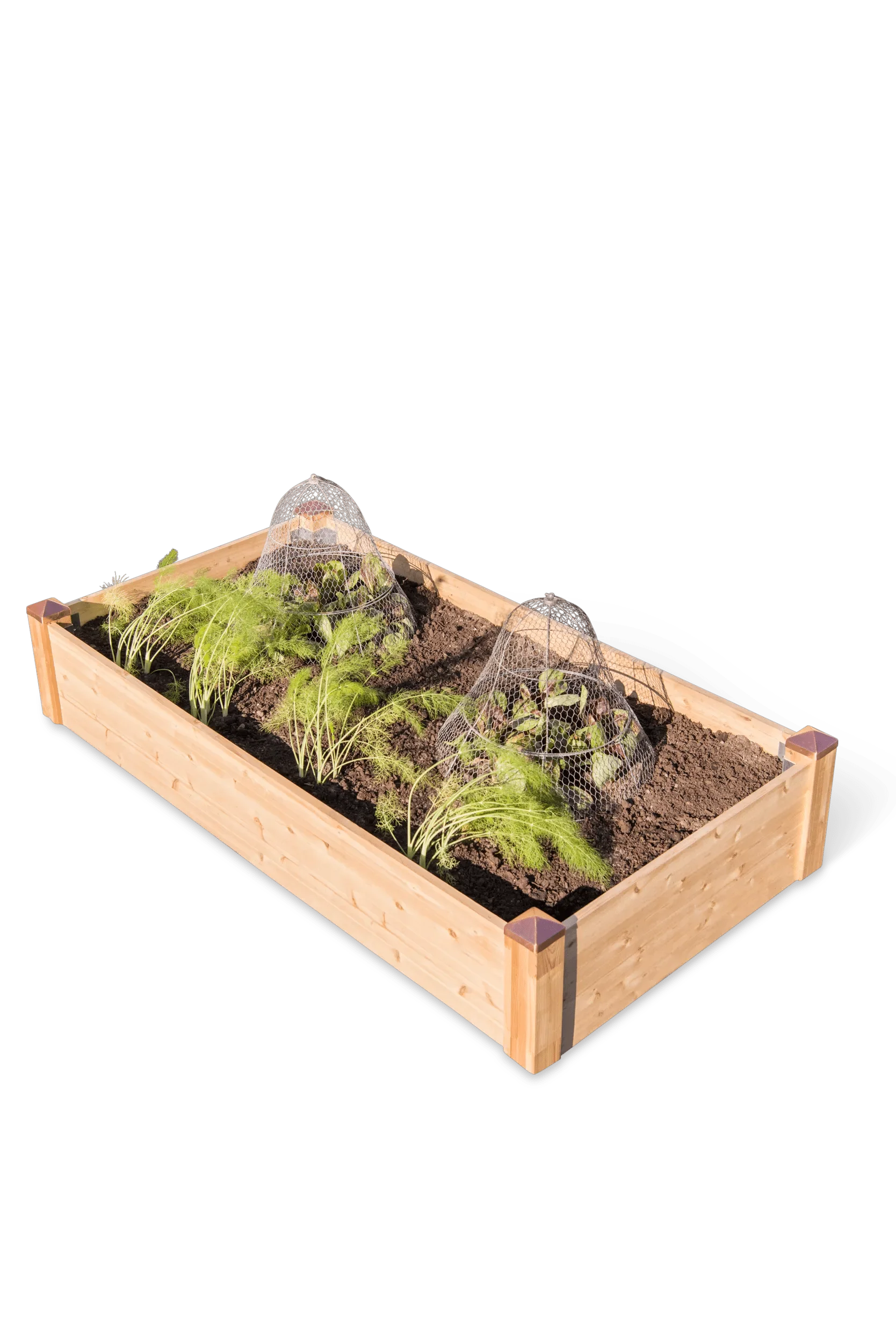 Copper Cap Raised Beds (14" D)