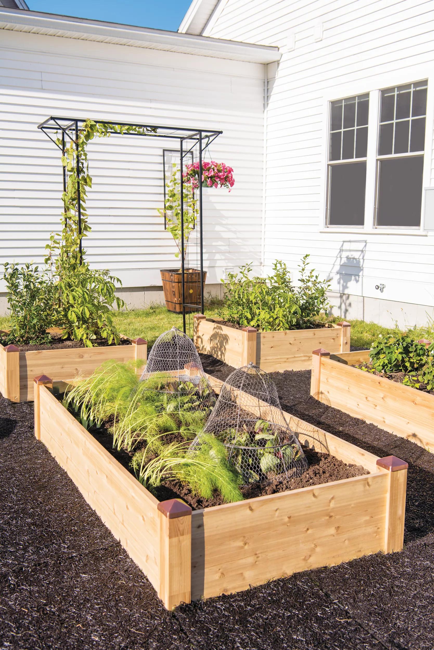Copper Cap Raised Beds (14" D)