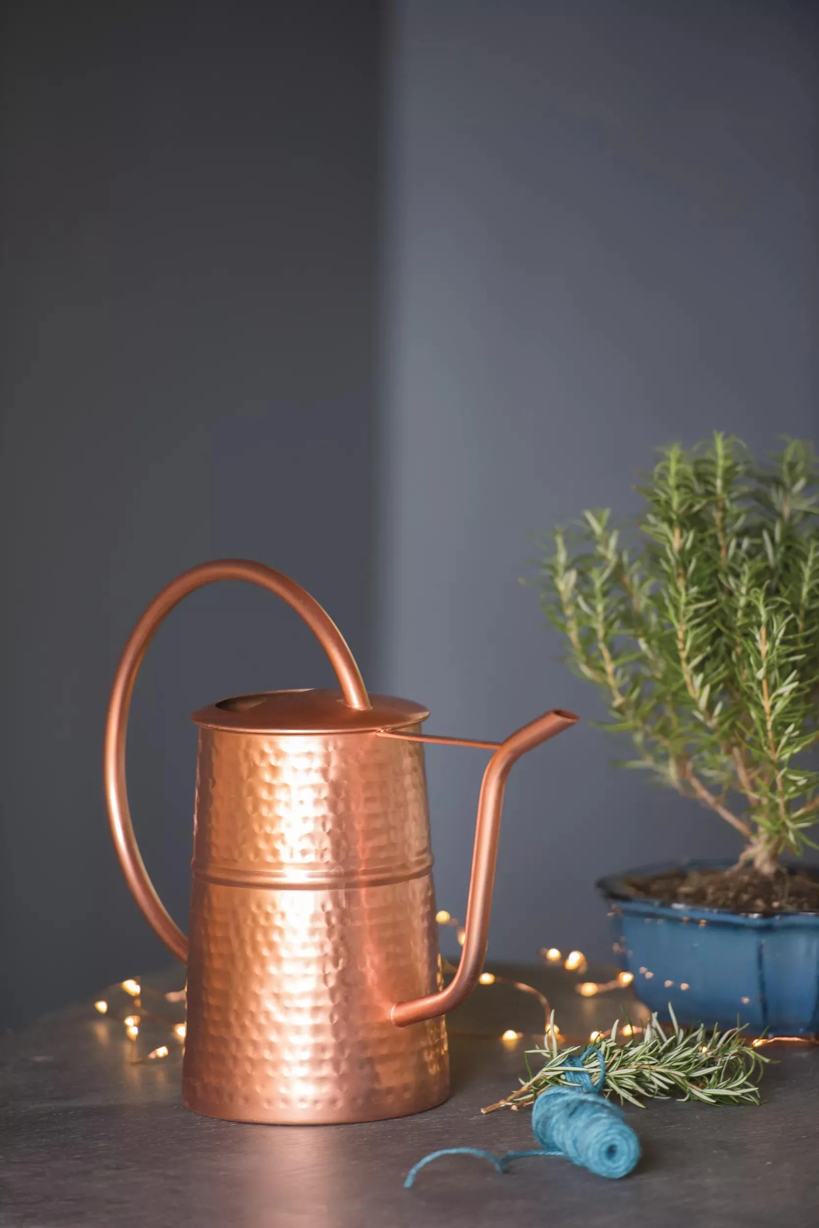 483-copper-indoor-watering-can-2.webp Copper Indoor Watering Can