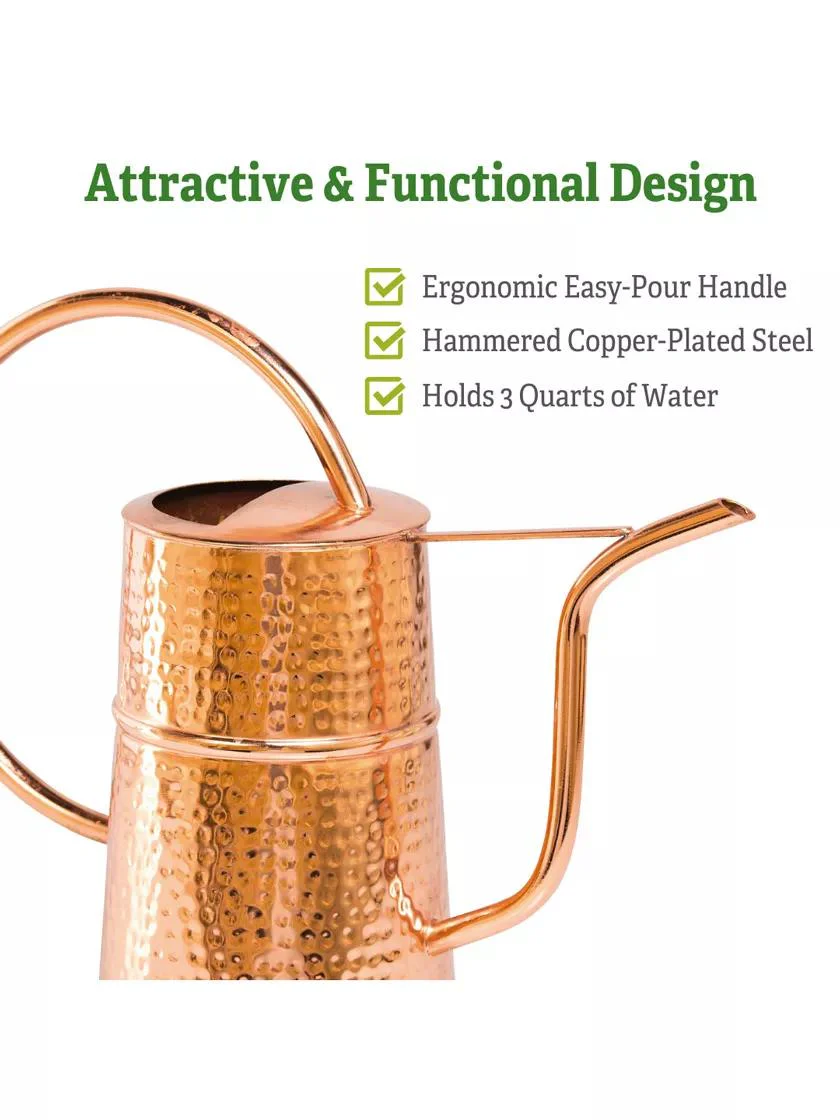 483-copper-indoor-watering-can-4.webp Copper Indoor Watering Can