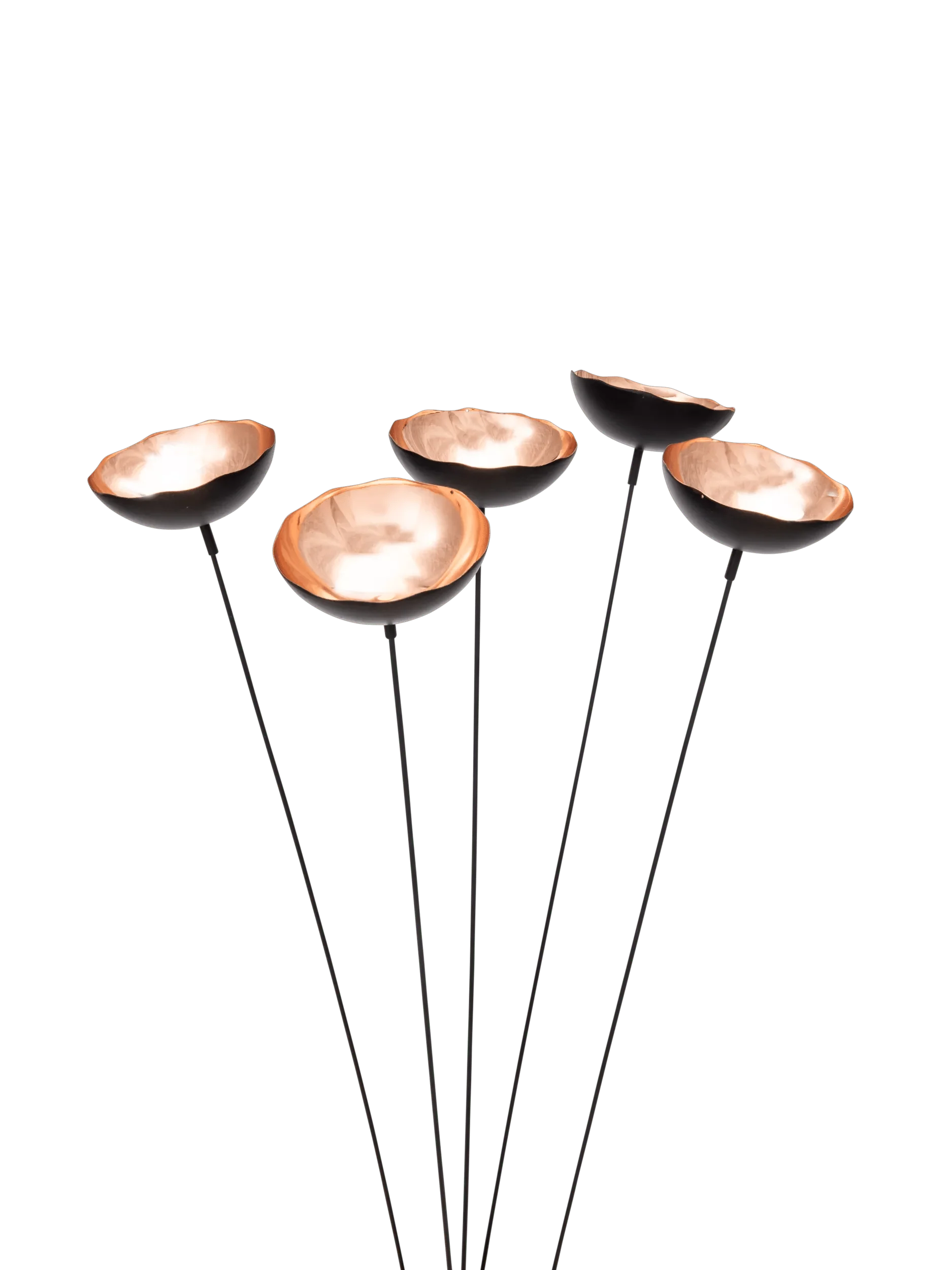 Copper Poppy Sways, Set of 5