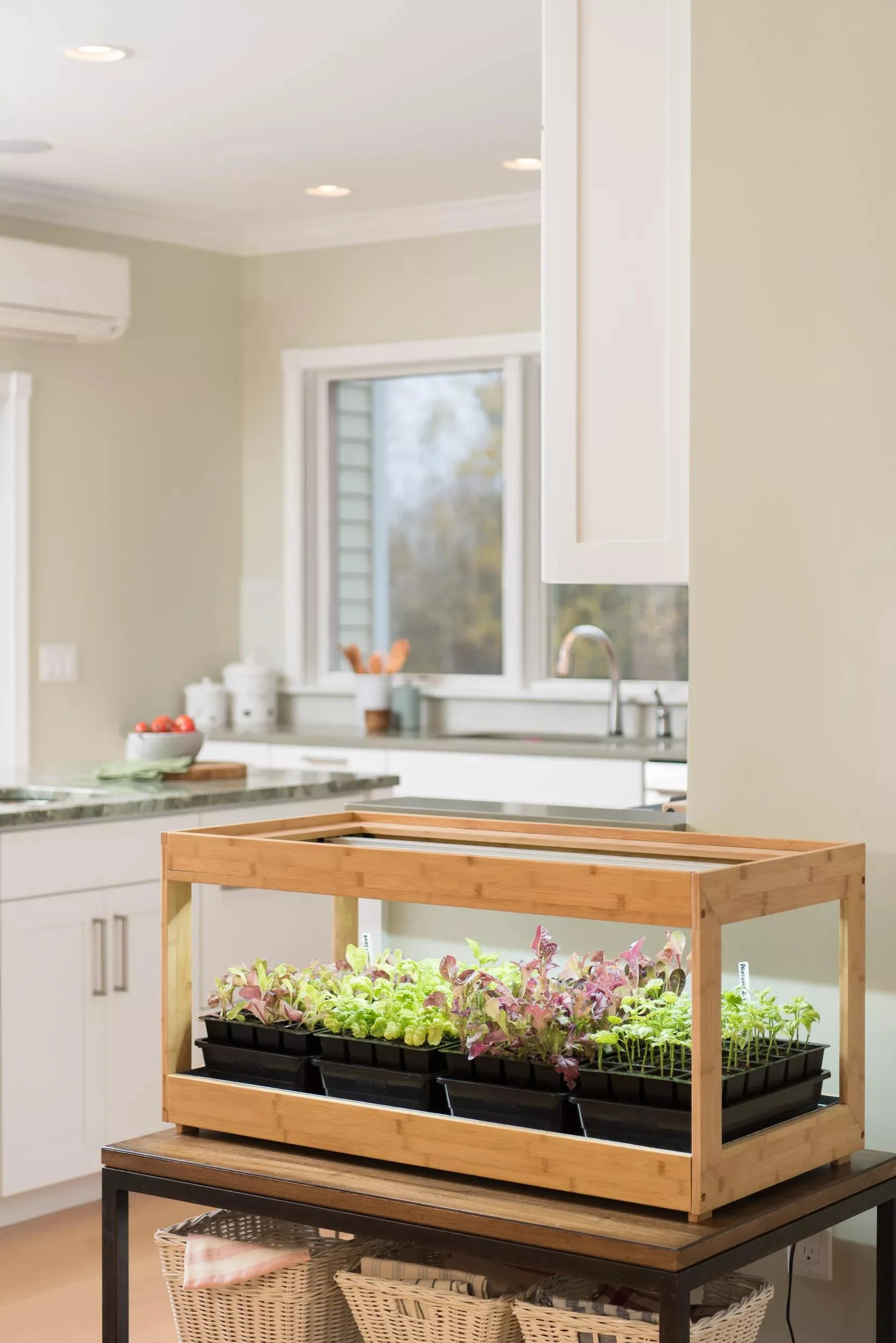 Low Bamboo LED Grow Light Garden