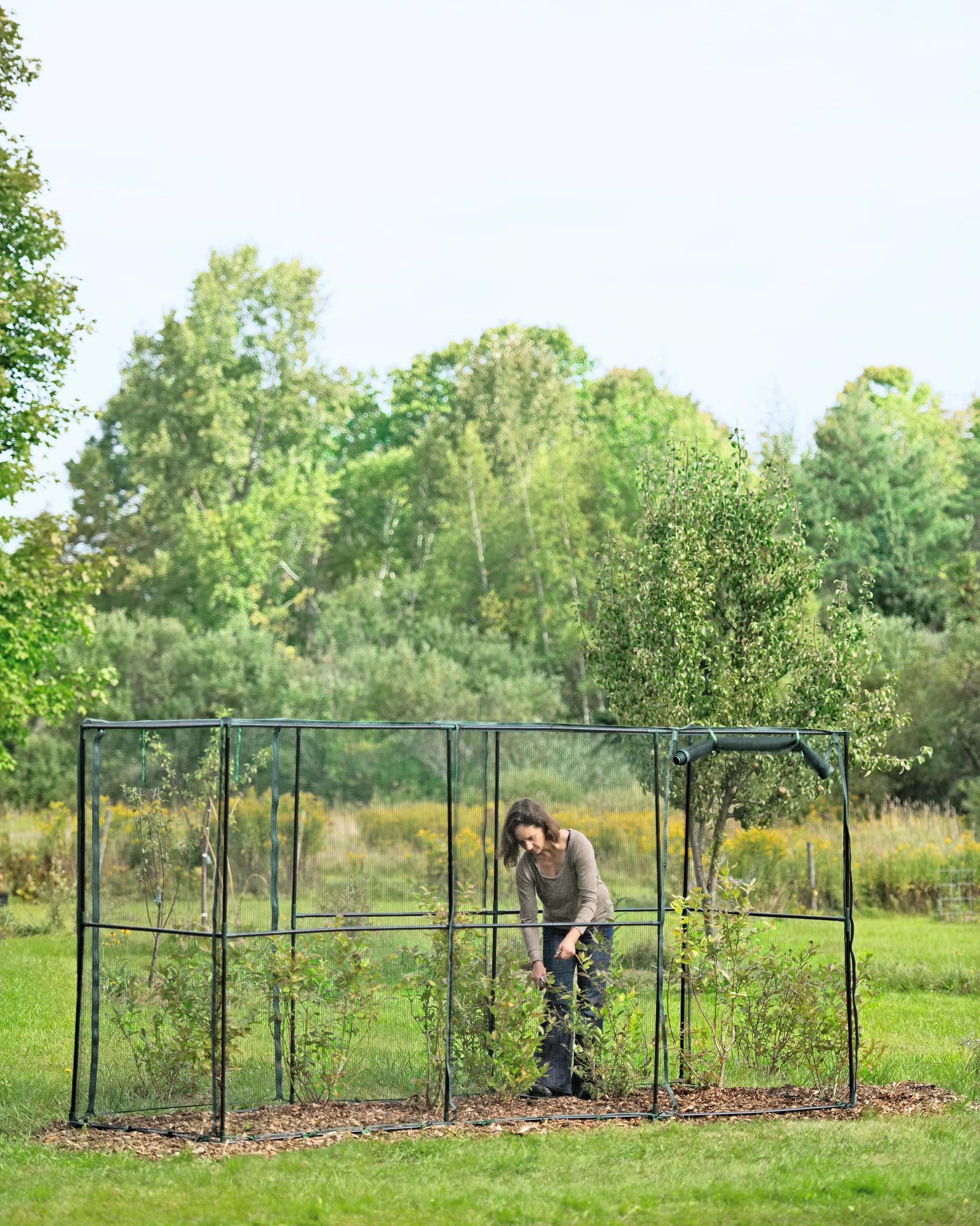 Crop Cage, 4' x 12'