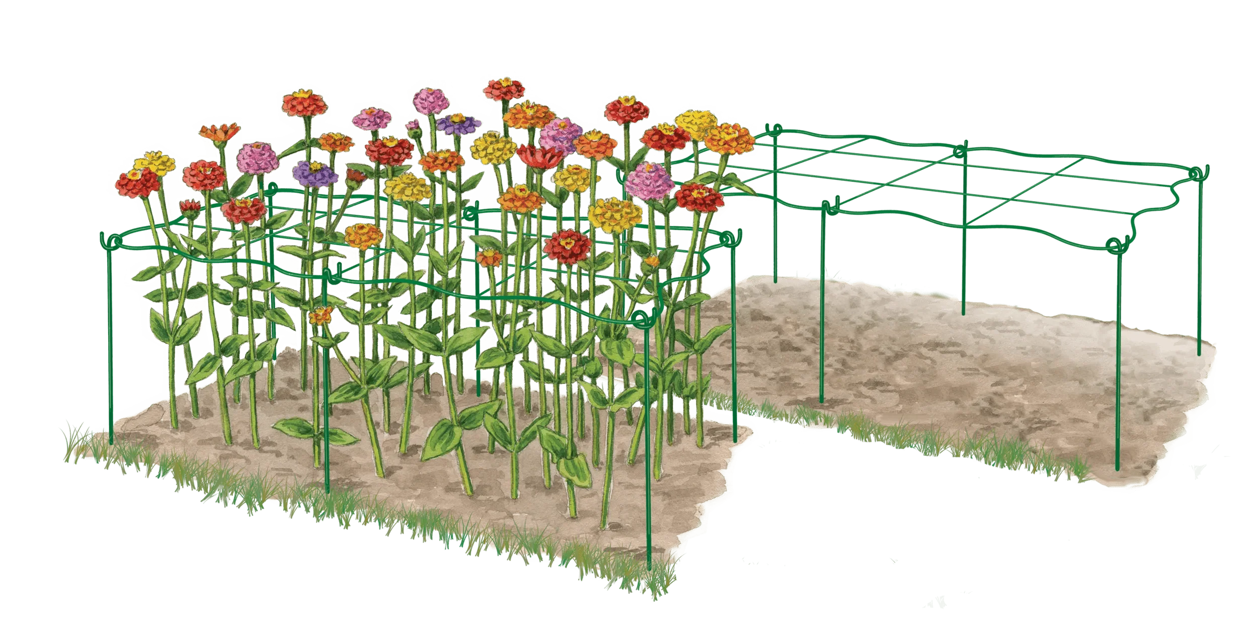 Cut Flower Grid Support, Set of 2