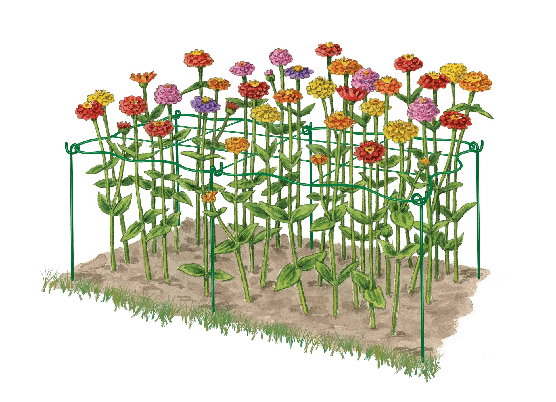Cut Flower Grid Support, Set of 2