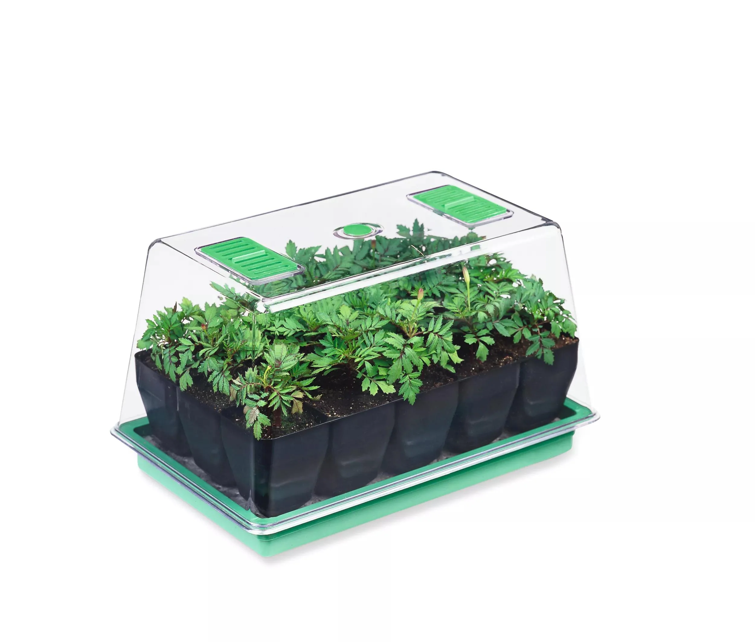 Deep Root Seedstarting System, Black