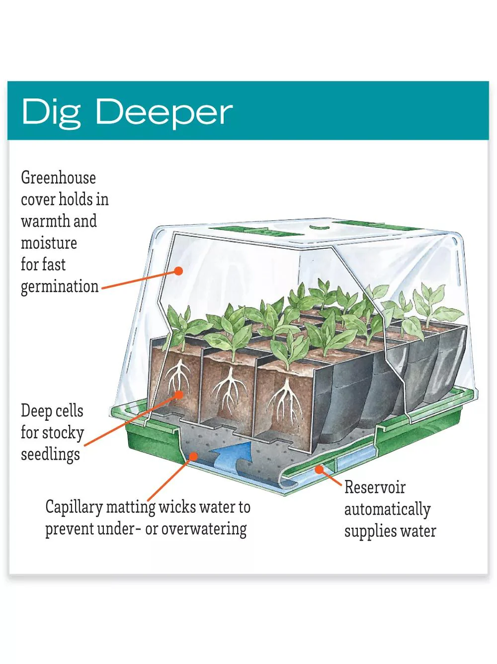 Deep Root Seedstarting System, Black