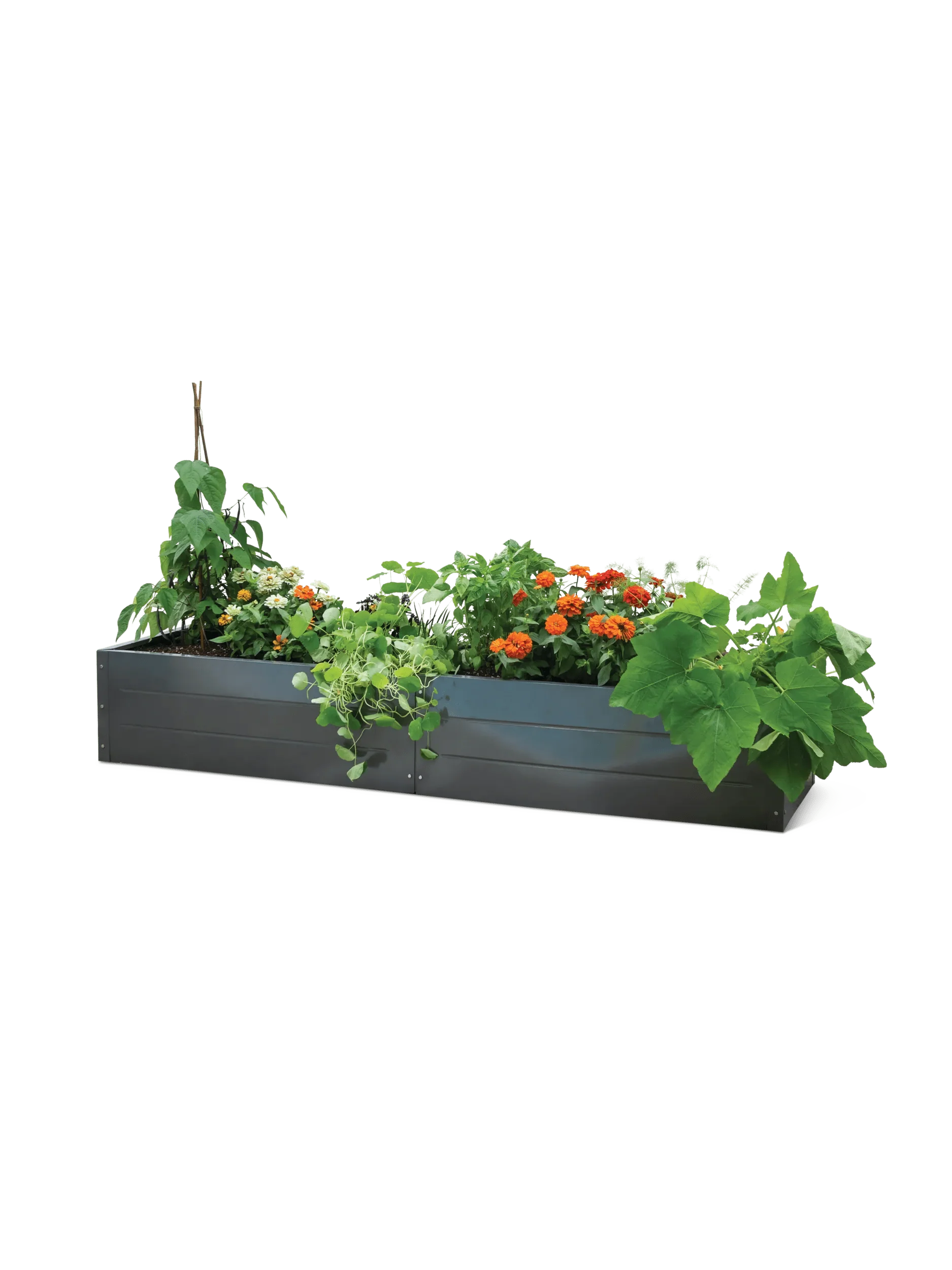 Putnam™ Metal Raised Bed, 24" x 90" (15"D)