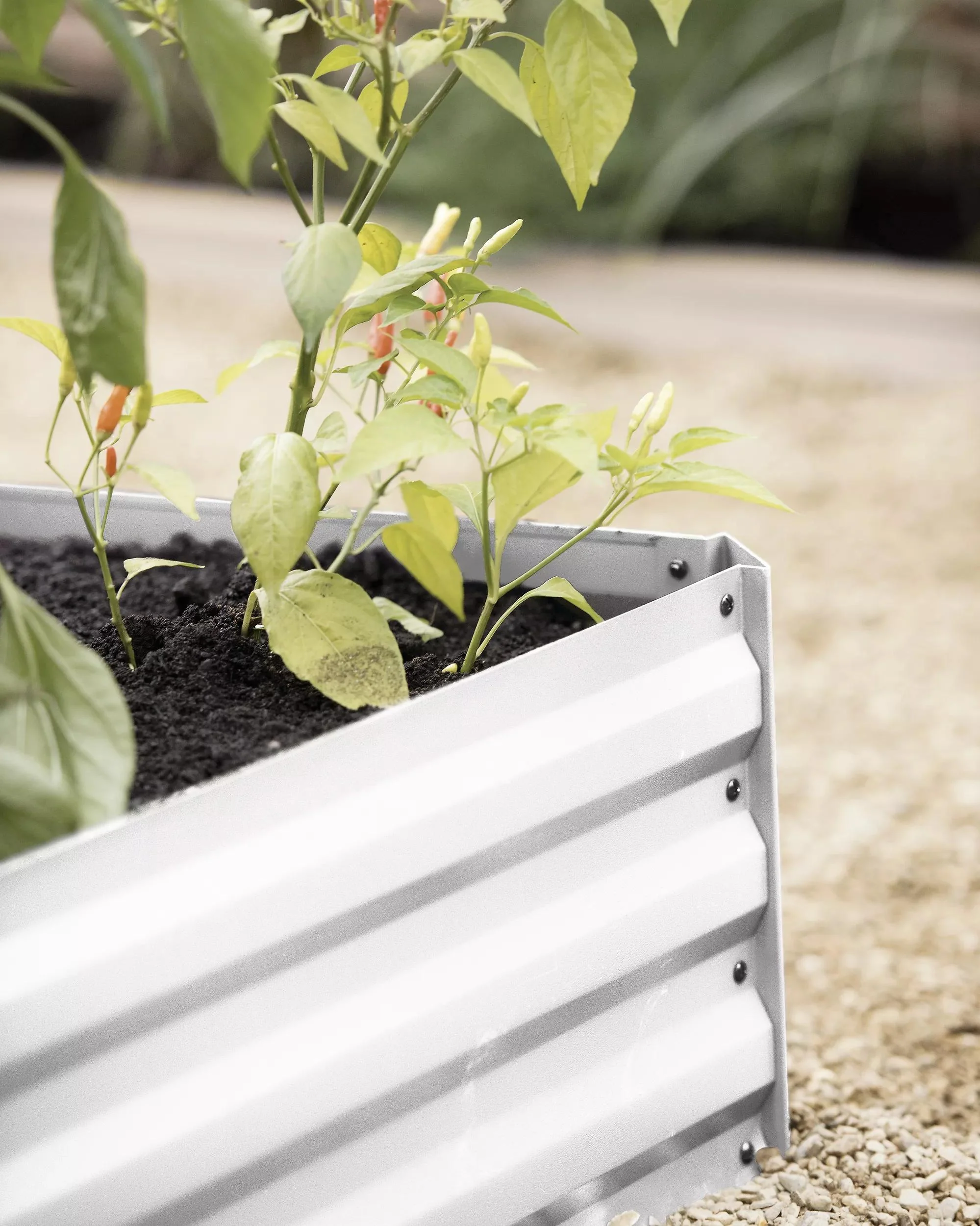 Demeter™ Corrugated Metal Raised Bed, 34" x 68" (12" D)