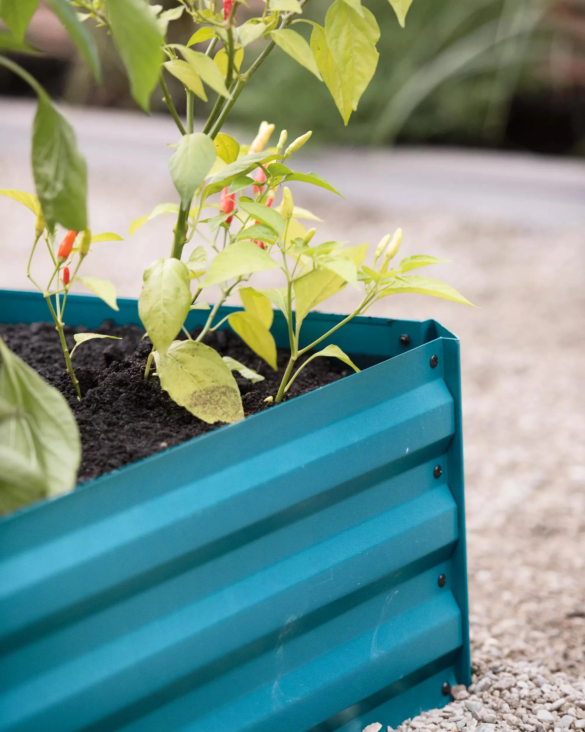 Demeter™ Corrugated Metal Raised Bed, 34" x 68" (12" D)