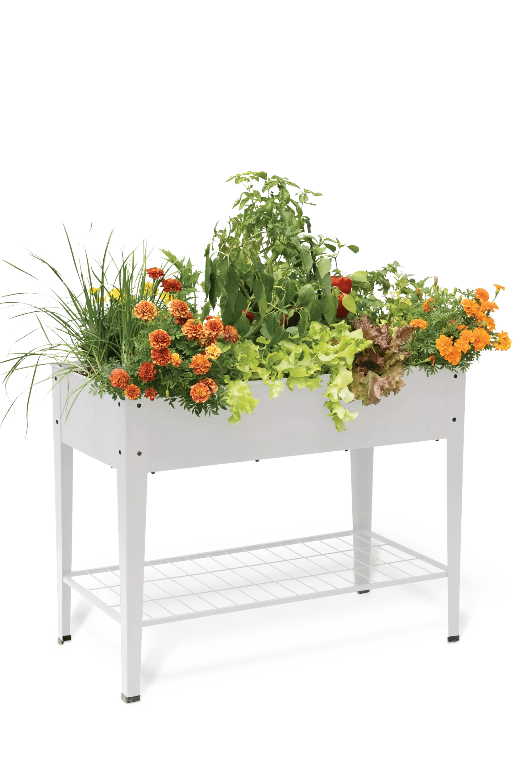 Demeter™ Elevated Raised Bed