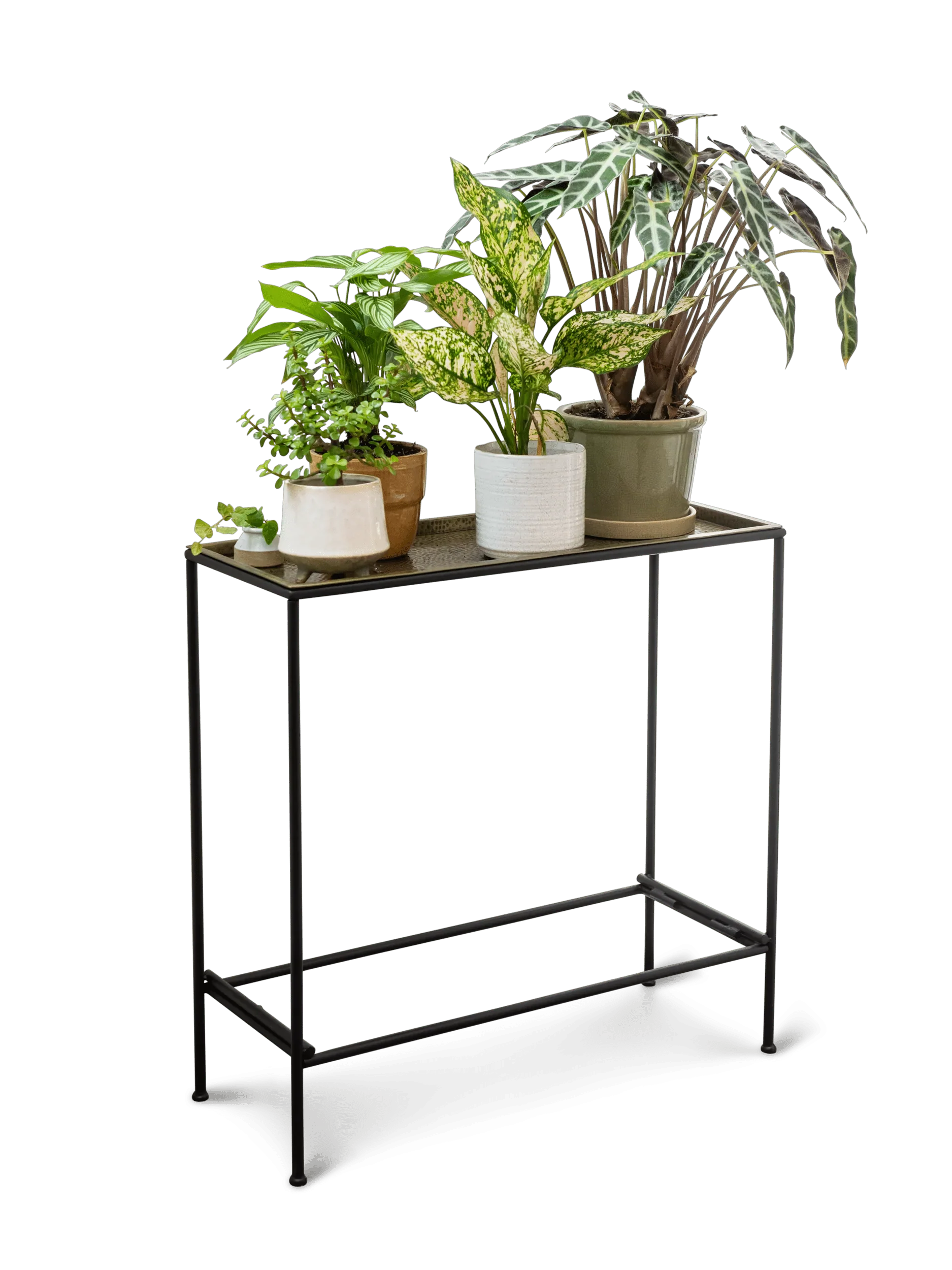 Sleek & Slender Plant Stand Side Table