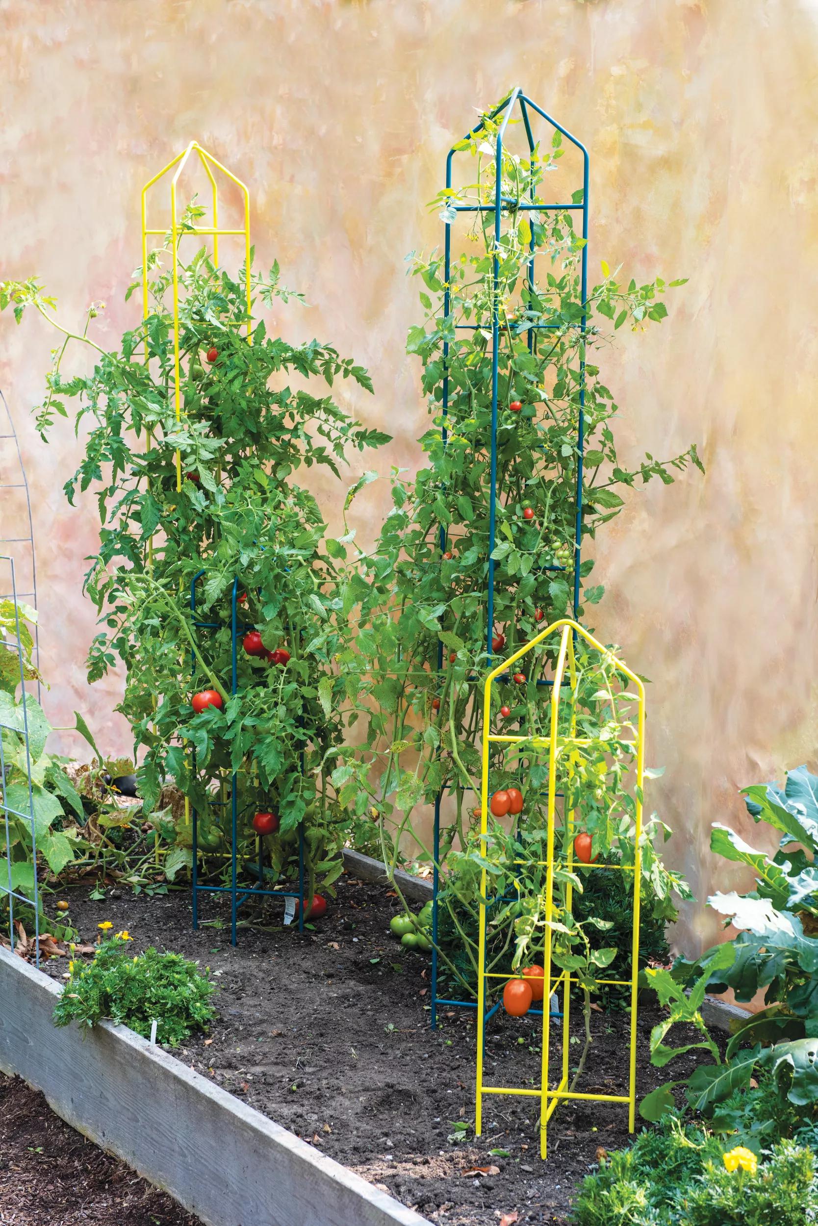 56-zenithtm-folding-garden-supports-set-of-2-1.jpg Zenith™ Folding Garden Supports, Set of 2
