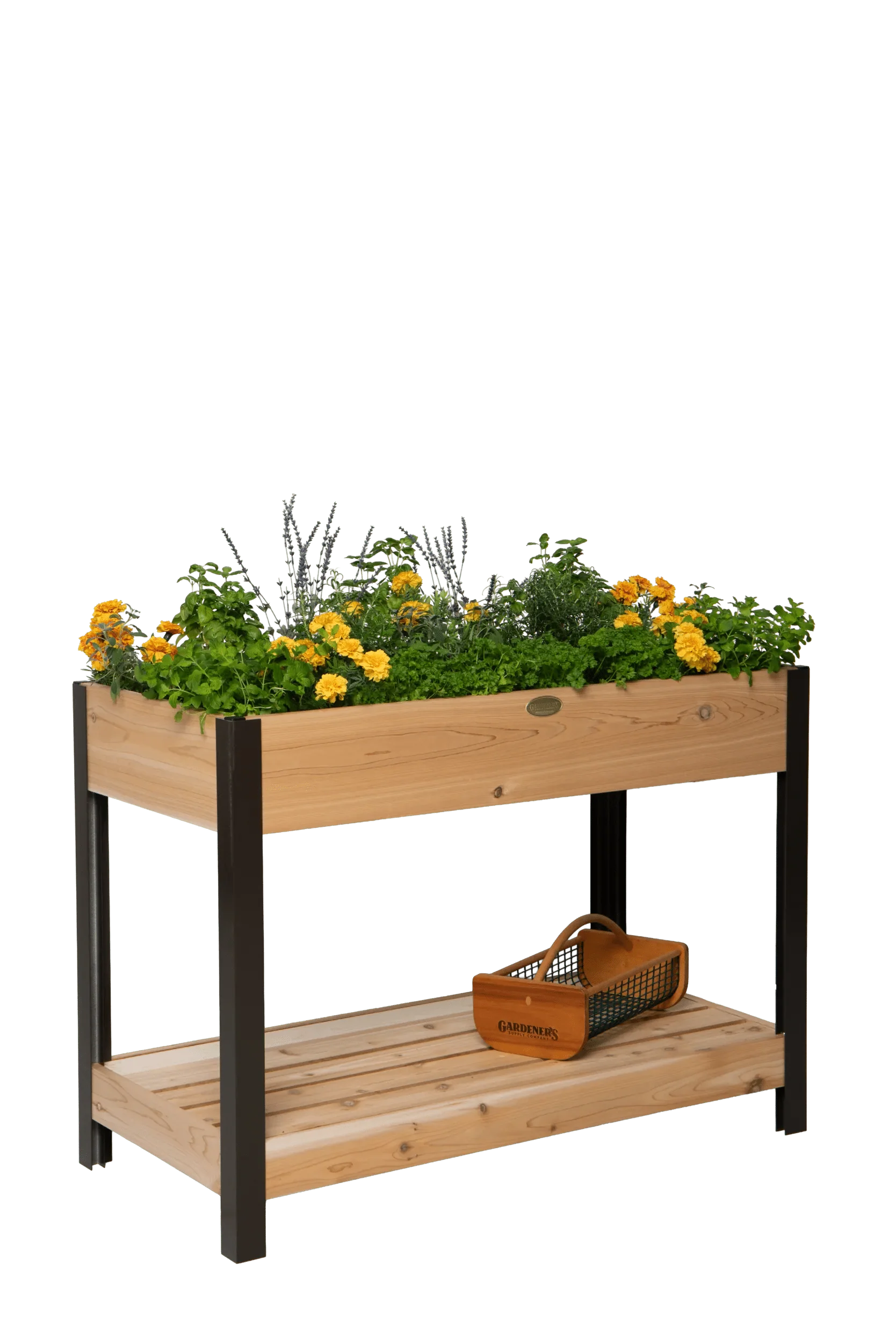 Elevated Cedar Patio Garden with Shelf, 2' x 4'