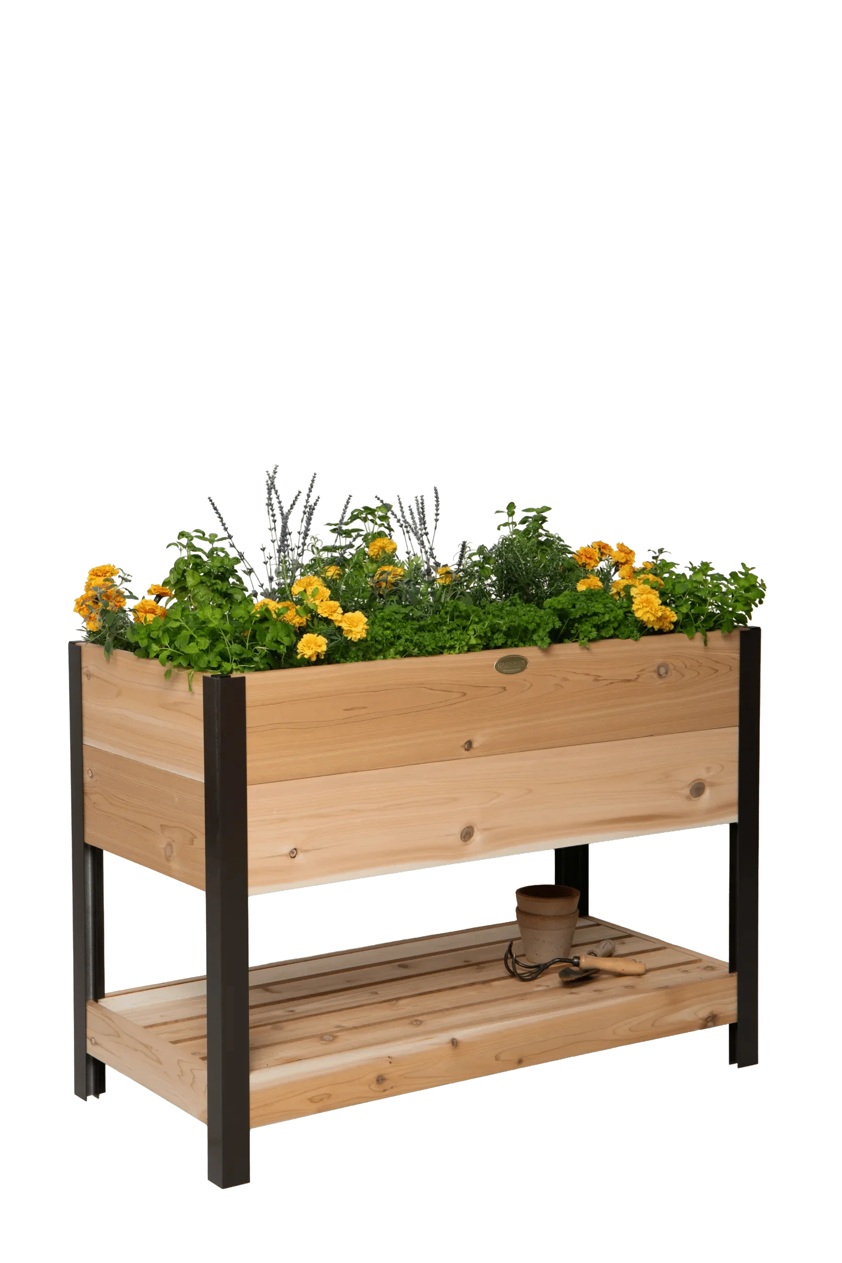 Elevated Cedar Planter Box with Shelf, 2' x 4'