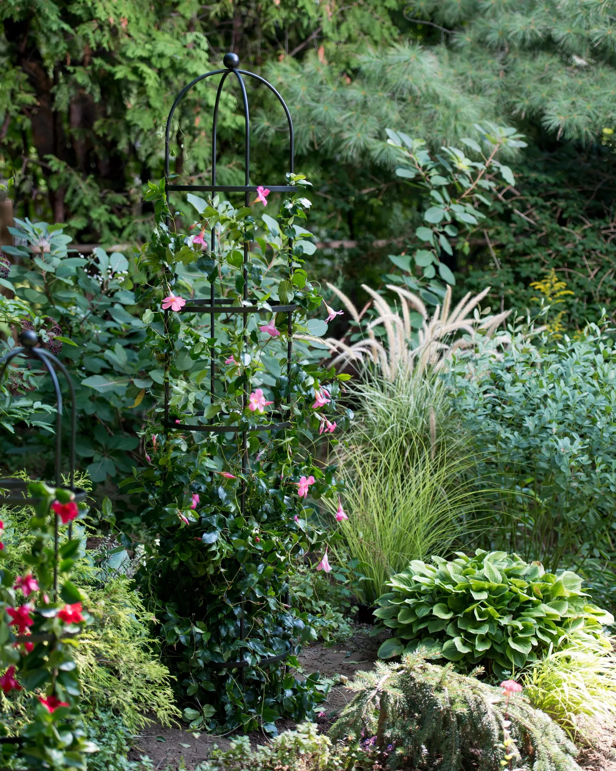 Essex™ Round Trellises