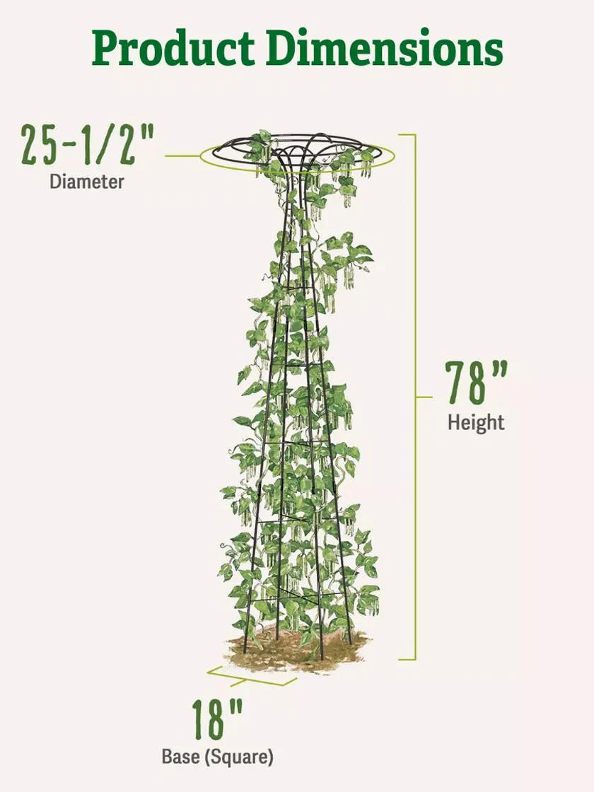 Essex™ Tuteur, 78"