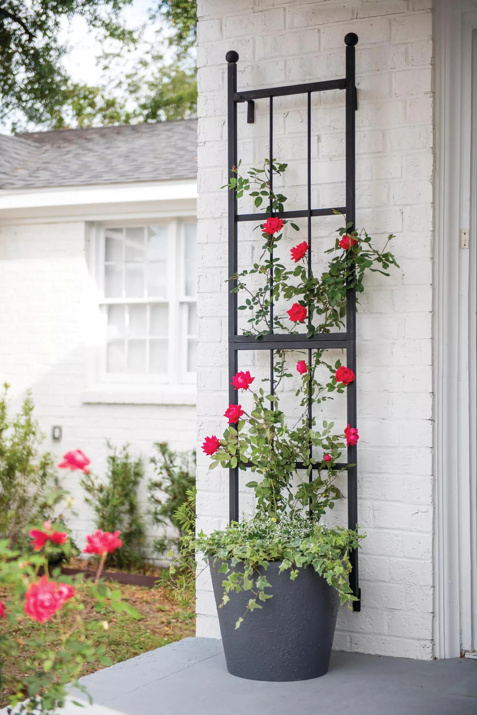 Essex™ Wall Trellis