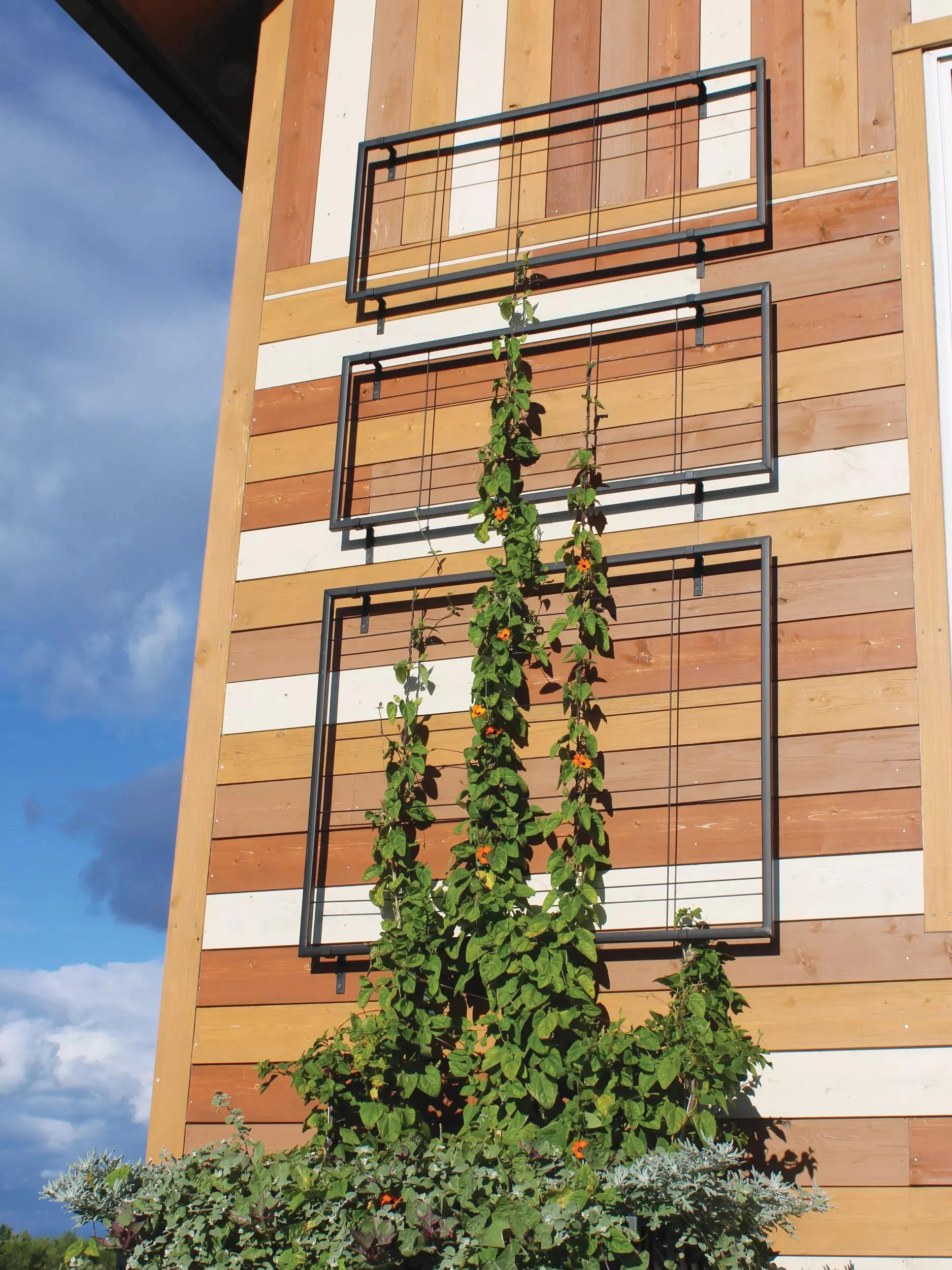 Exeter Wall Trellis