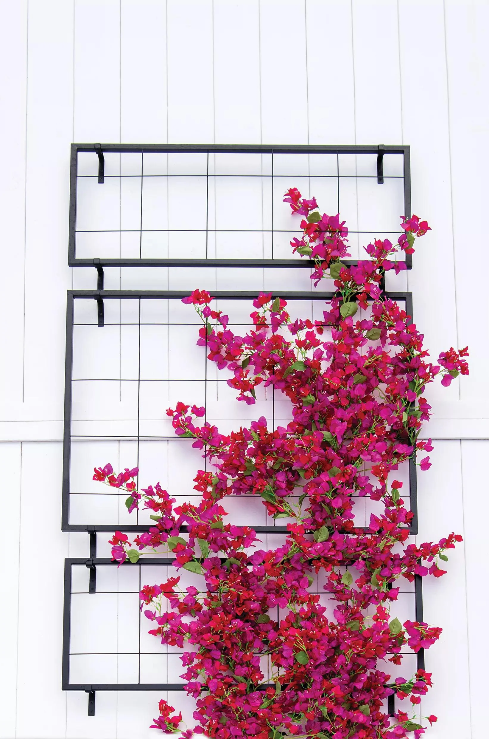 Exeter Wall Trellis