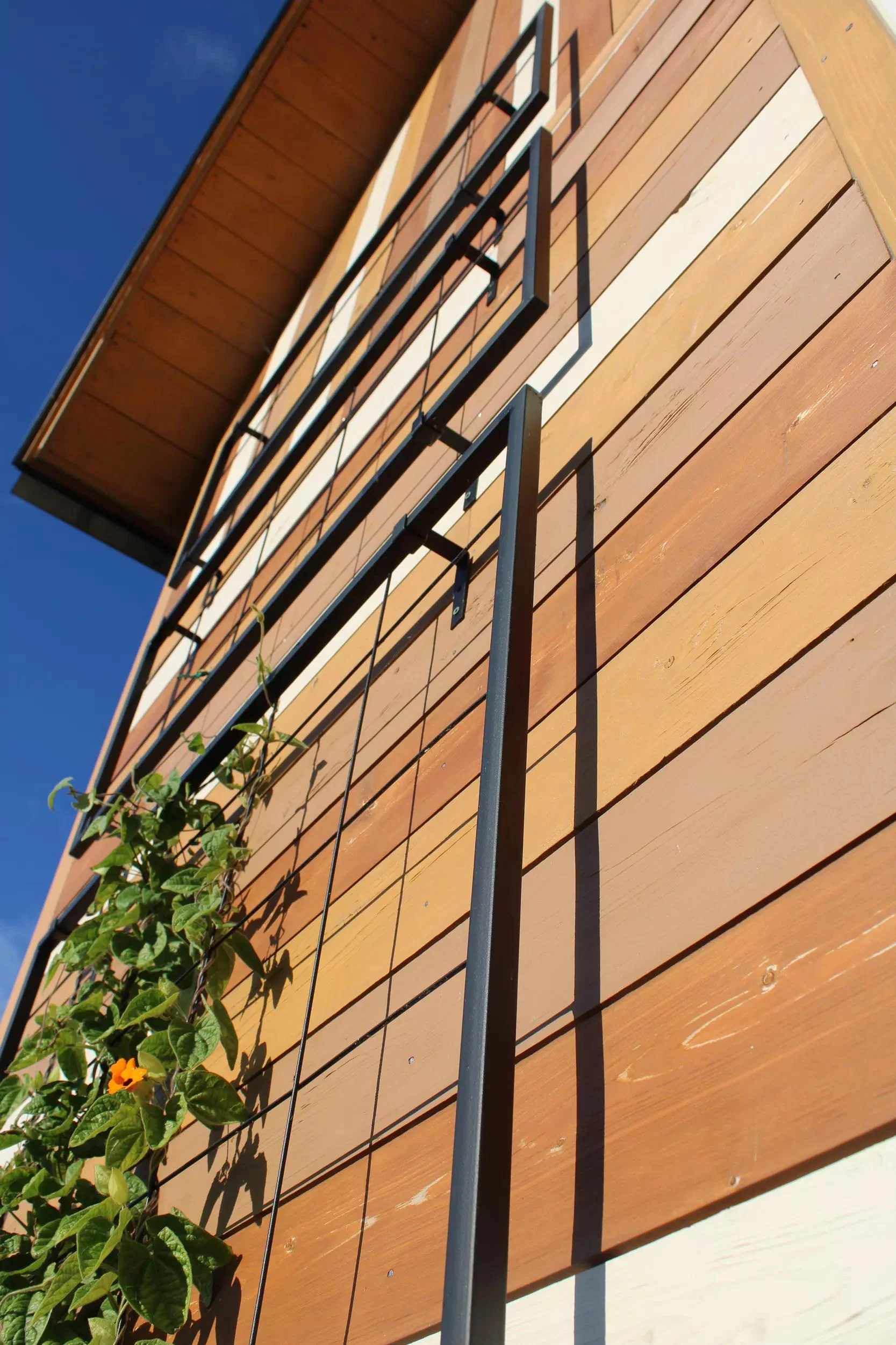 Exeter Wall Trellis
