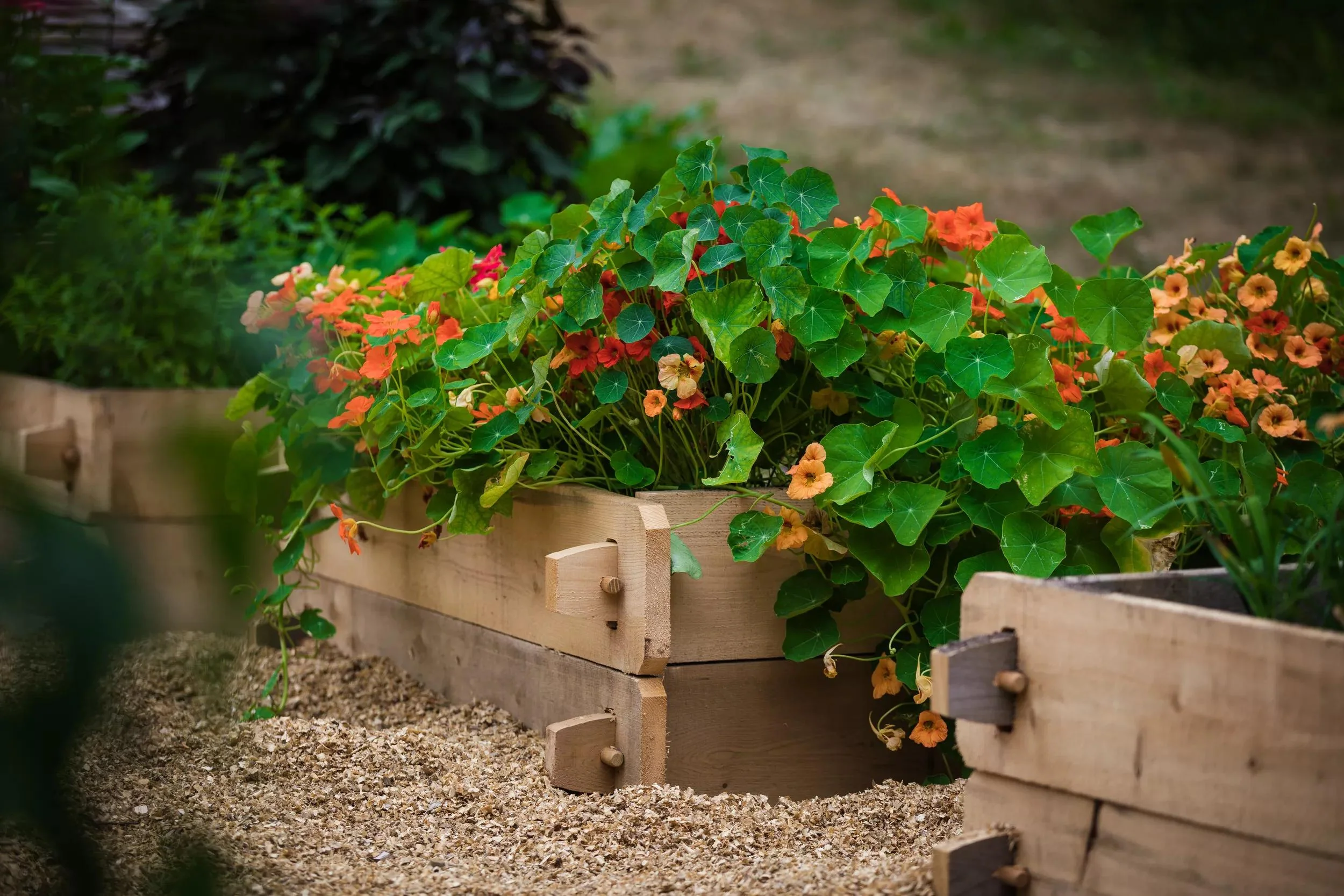 Farmstead Cedar Raised Garden Beds, 4'