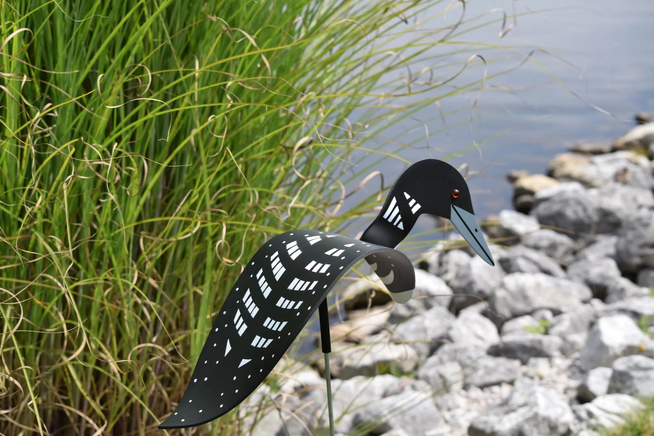 Florida Dancing Birds®, Loon