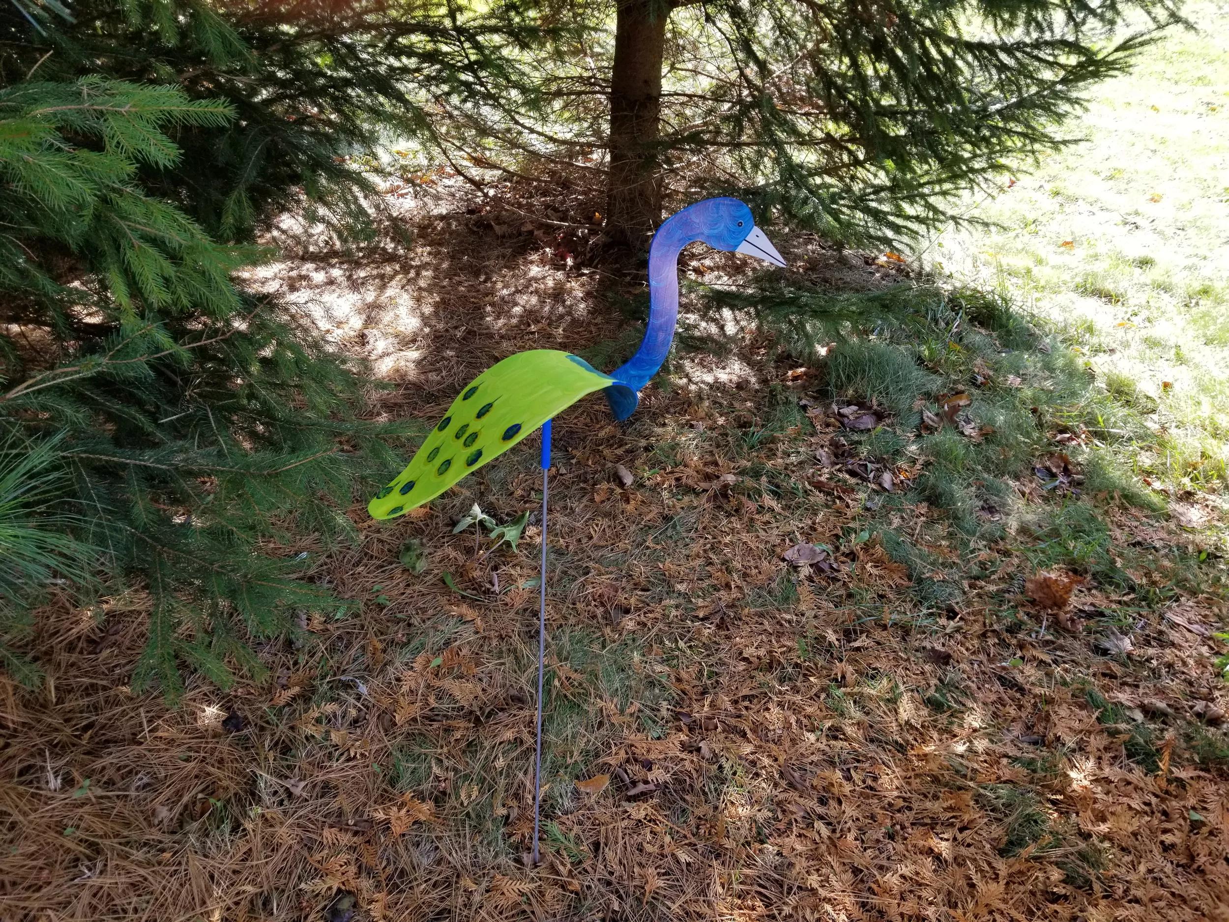 Florida Dancing Birds®, Peacock