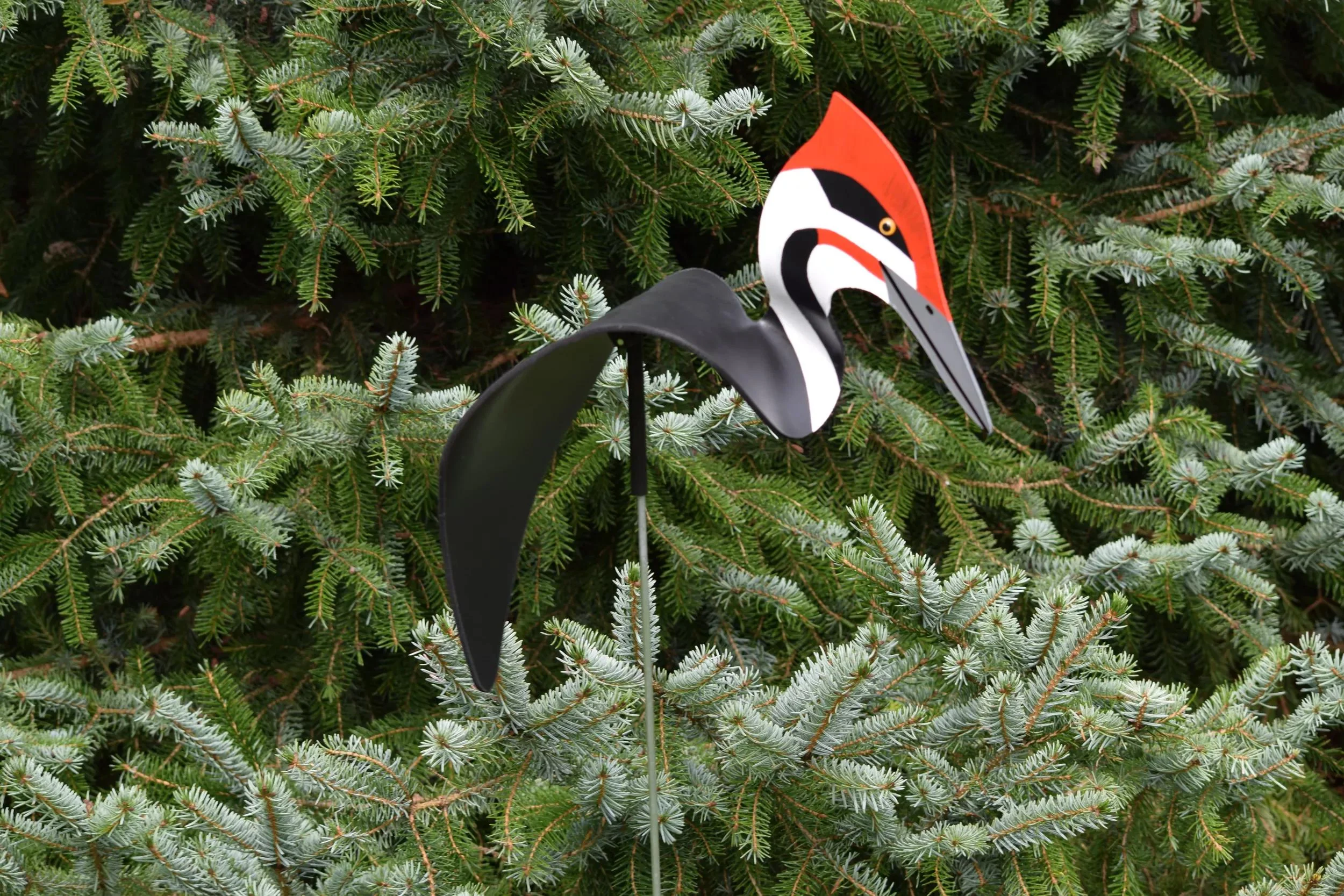 Florida Dancing Birds®, Pileated Woodpecker