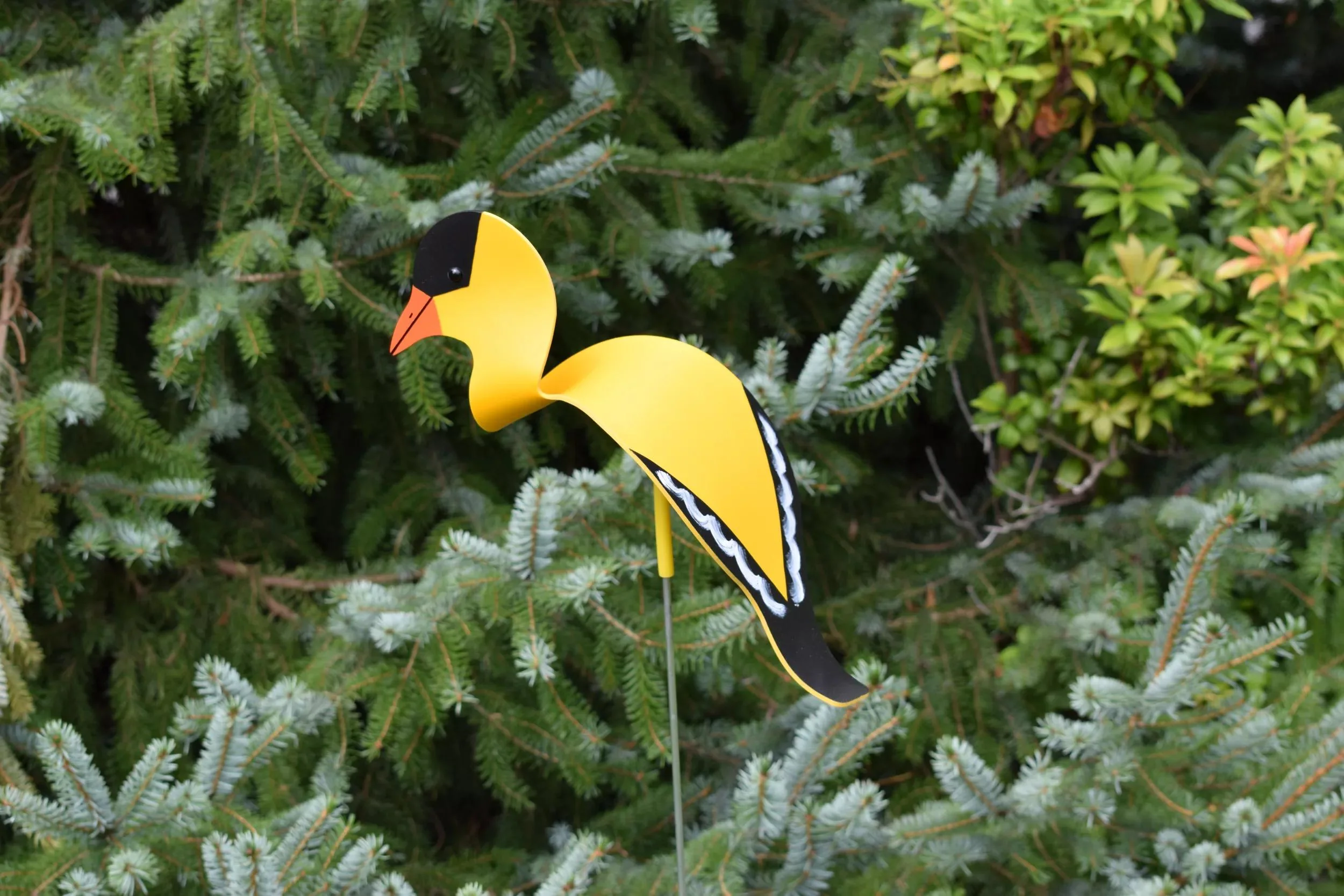 Florida Dancing Birds®, Songbirds