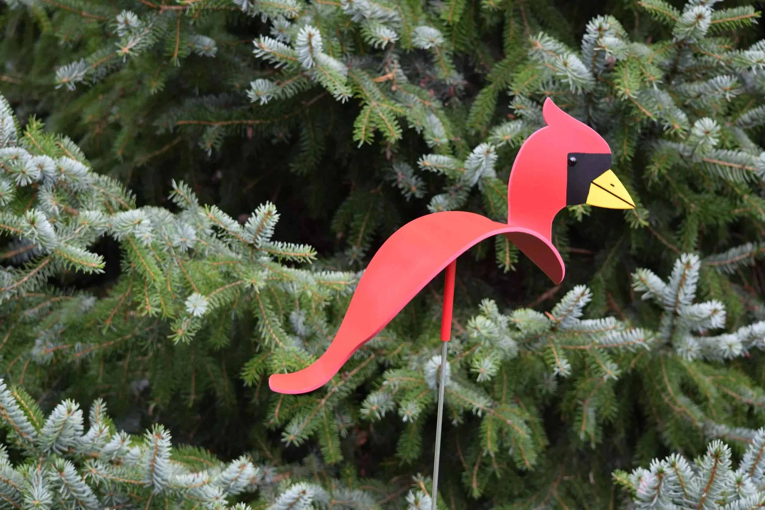 Florida Dancing Birds®, Songbirds