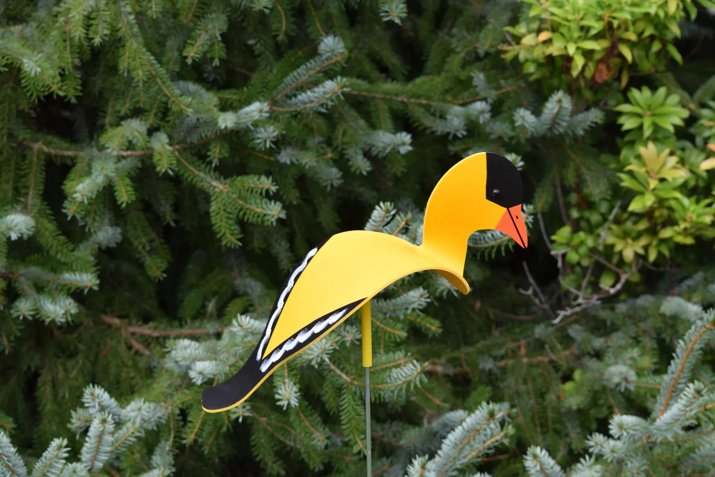 Florida Dancing Birds®, Songbirds